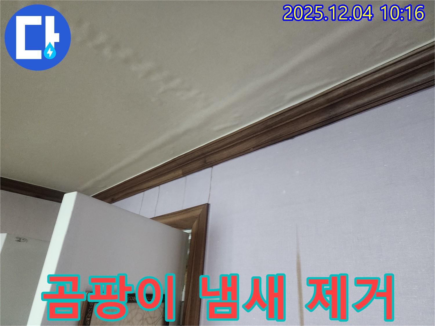 경기도 포천시 일동면 곰팡이 냄새 제거 - 윗집 누수, 곰팡이 냄새까지 완벽하게 제거합니다.