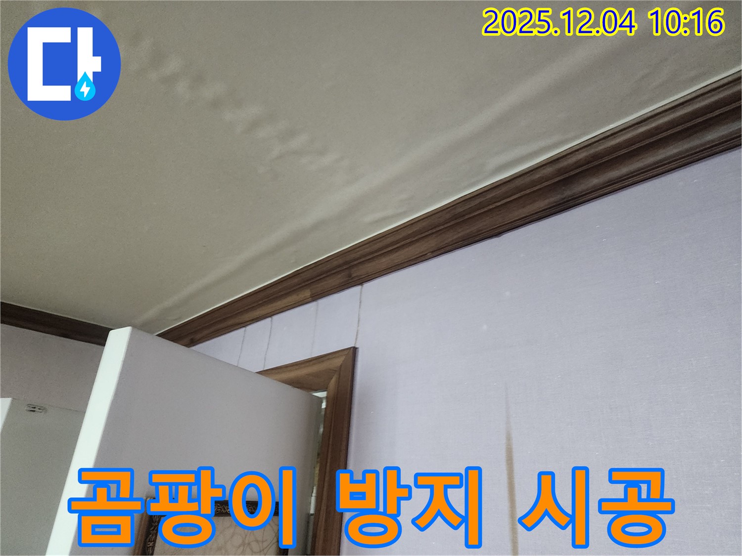 경기도 포천시 일동면 천장 곰팡이 방지 시공 - 윗집 누수, 곰팡이 재발 방지를 위한 완벽 시공.