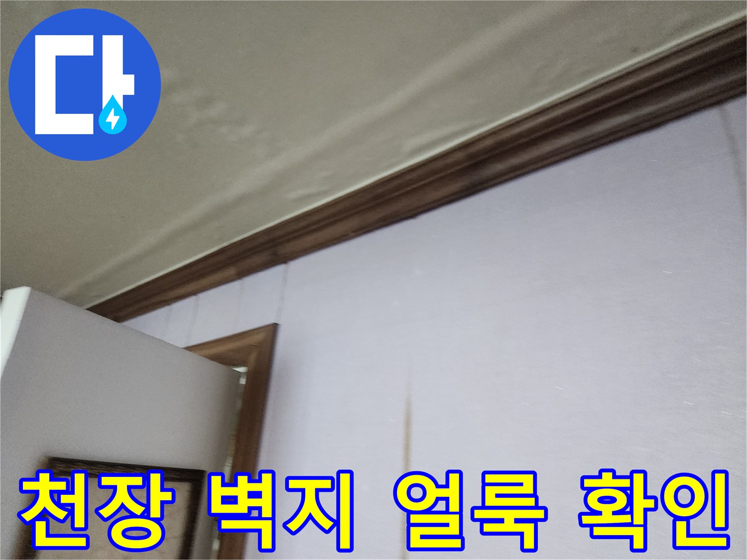 포천 일동면 주거 공간 천장 및 벽면의 습기 얼룩 상태