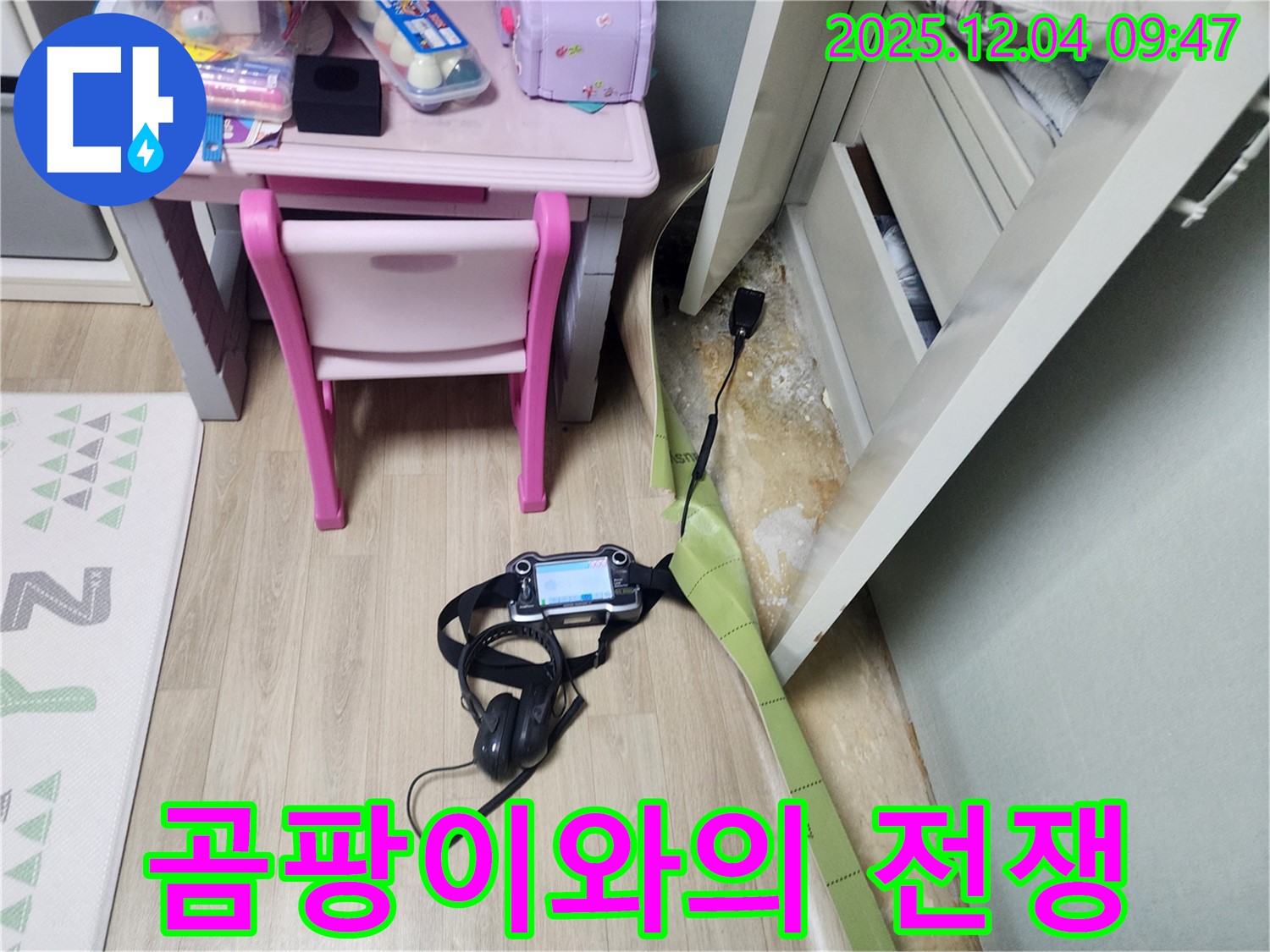 포천시 일동면 유동리 누수 - 장판 밑 누수, 곰팡이와의 전쟁을 선포합니다!