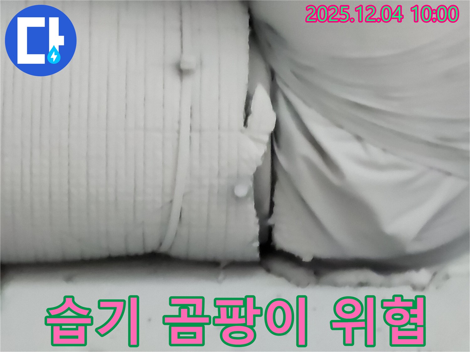 포천시 일동면 유동리 누수 현장 - 보온재 속에 습기가 차고 곰팡이가 핀 모습은 건강까지 위협합니다.