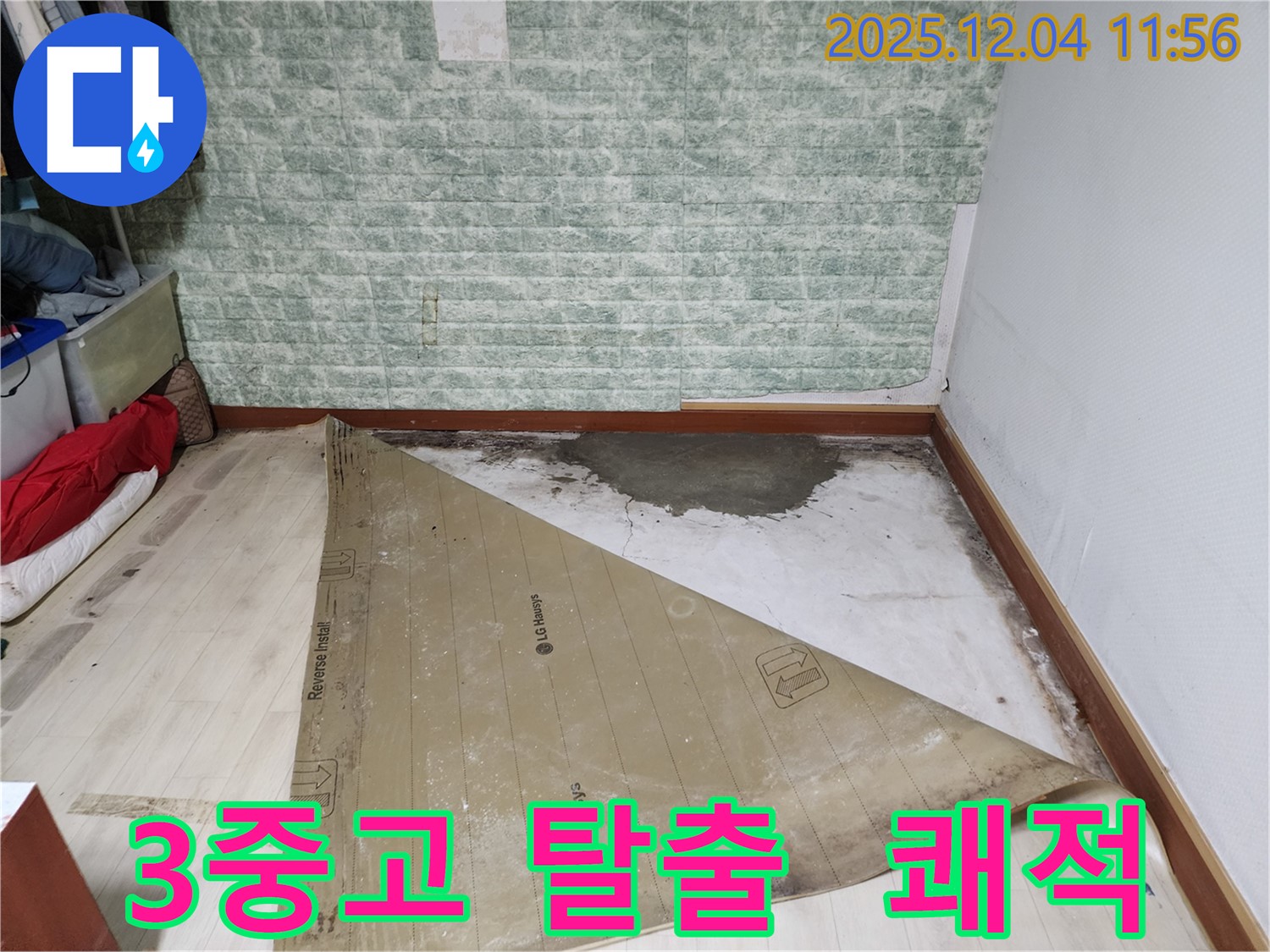 일동면 누수 - 썩은 장판 곰팡이 습기 3중고 탈출