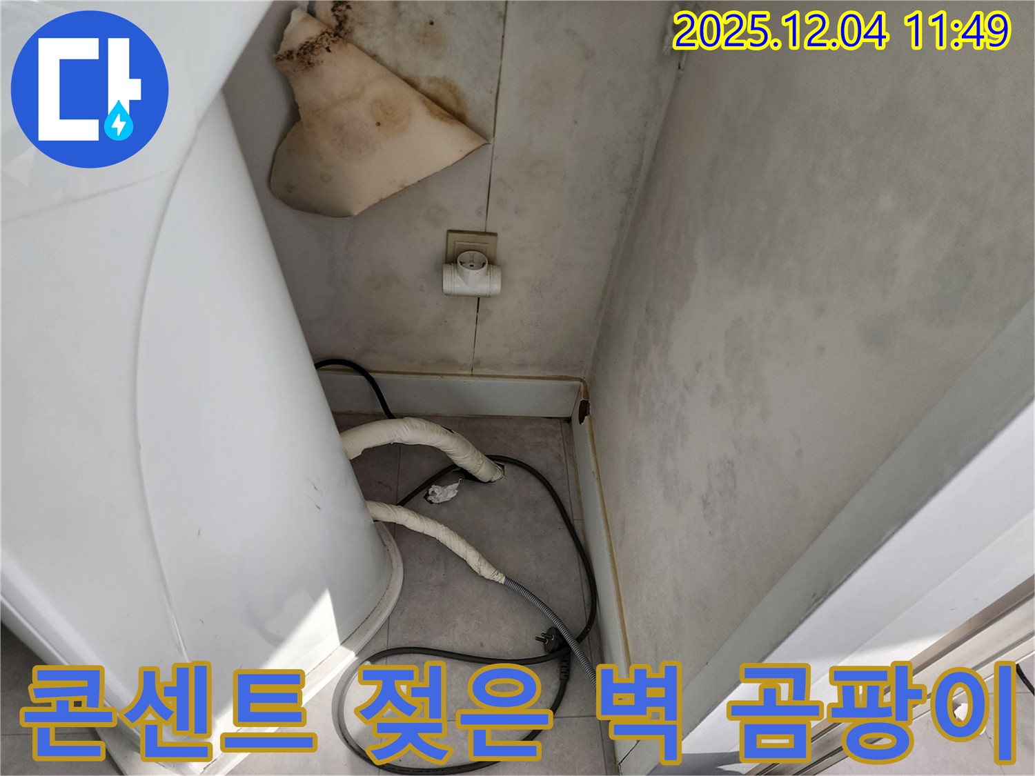 일동면 - 콘센트 주변 젖은 벽, 곰팡이 - 감전 사고 위험, 즉시 연락