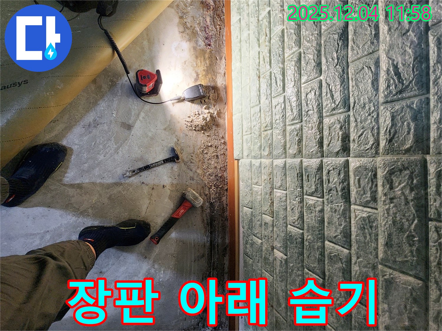포천 일동면 기산리 누수 - 낡은 장판 아래 감춰진 습기의 습격 현장
