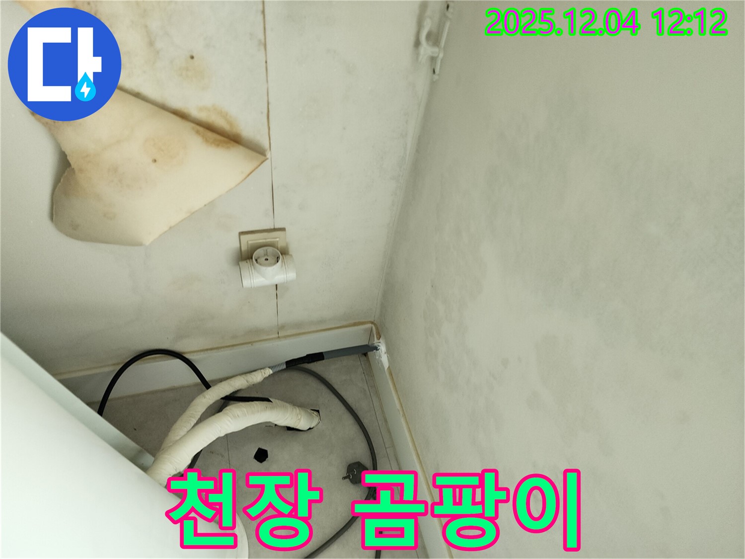 포천시 일동면 기산리 주택 - 천장 누수 흔적과 곰팡이 발생을 확인하고 있습니다.