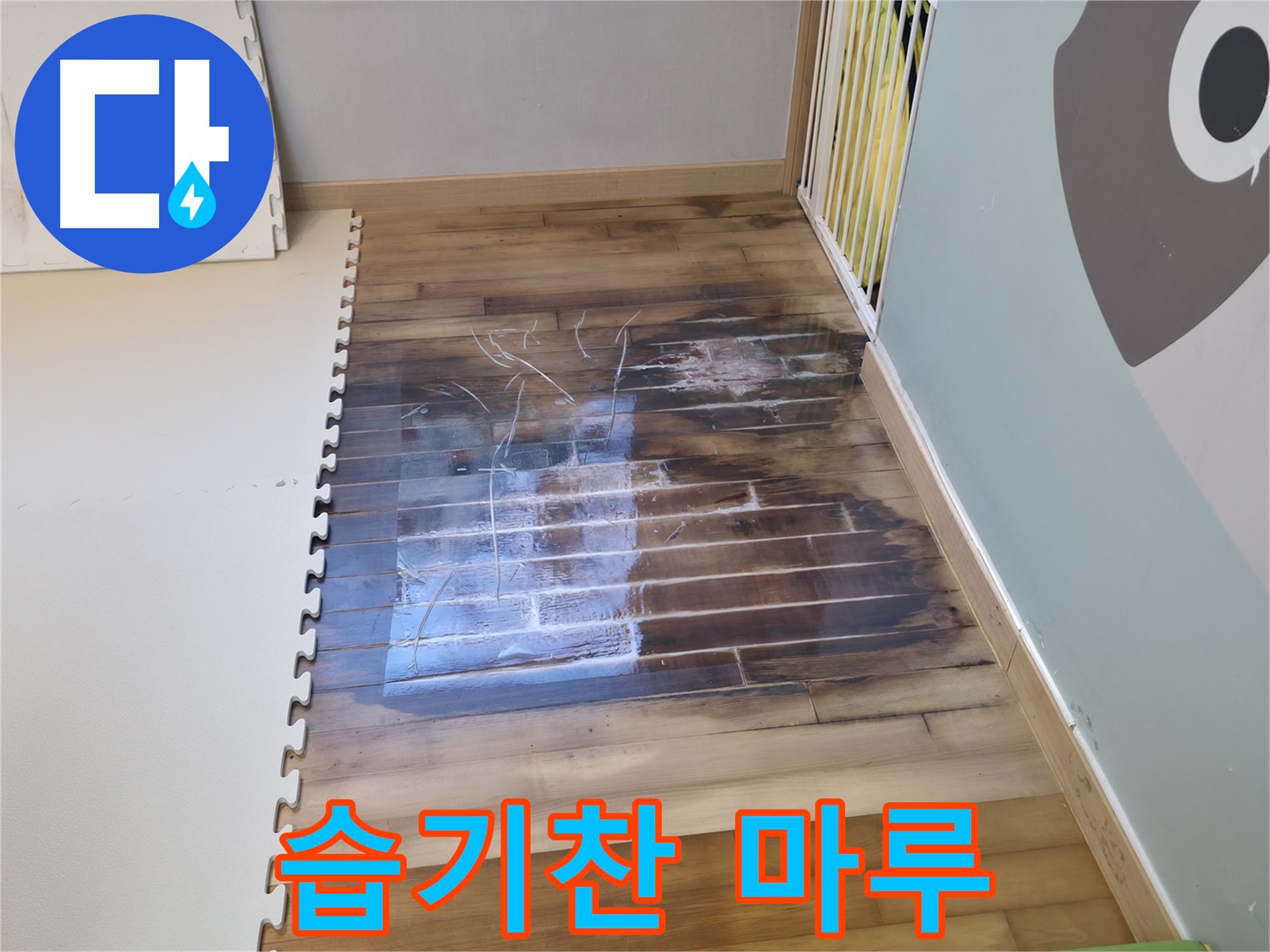 습기를 머금어 썩어가는 마루 - 누수로 인해 습도가 높아져 마루가 손상되고 있습니다.