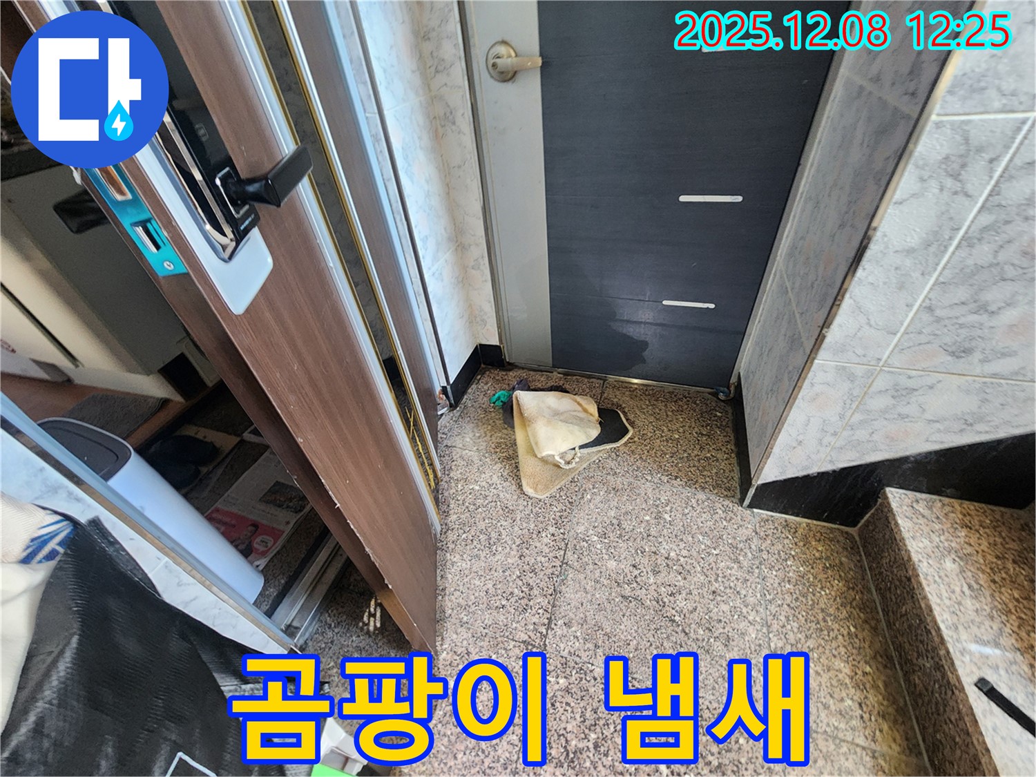 면목동 현관문 주변에 곰팡이 냄새가 난다면? - 누수를 의심해 보세요 - 누수 전문가가 곰팡이 제거부터 누수 해결까지!