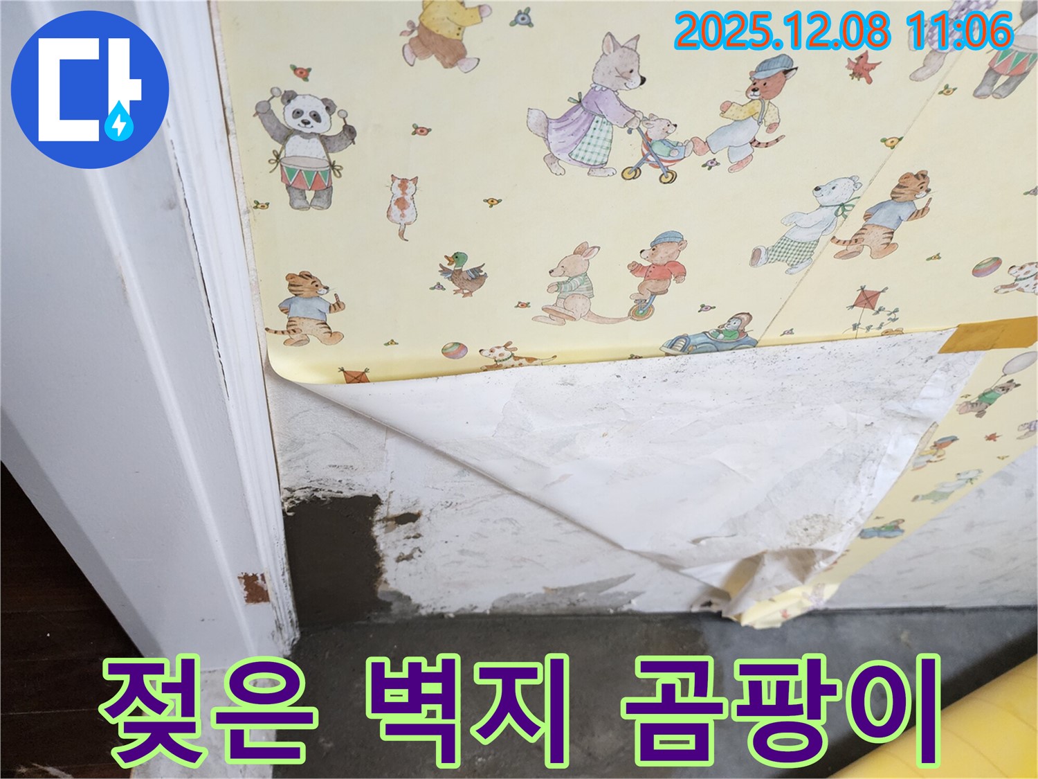 거사리 누수 현장 - 젖은 벽지, 곰팡이 발생, 누수 의심