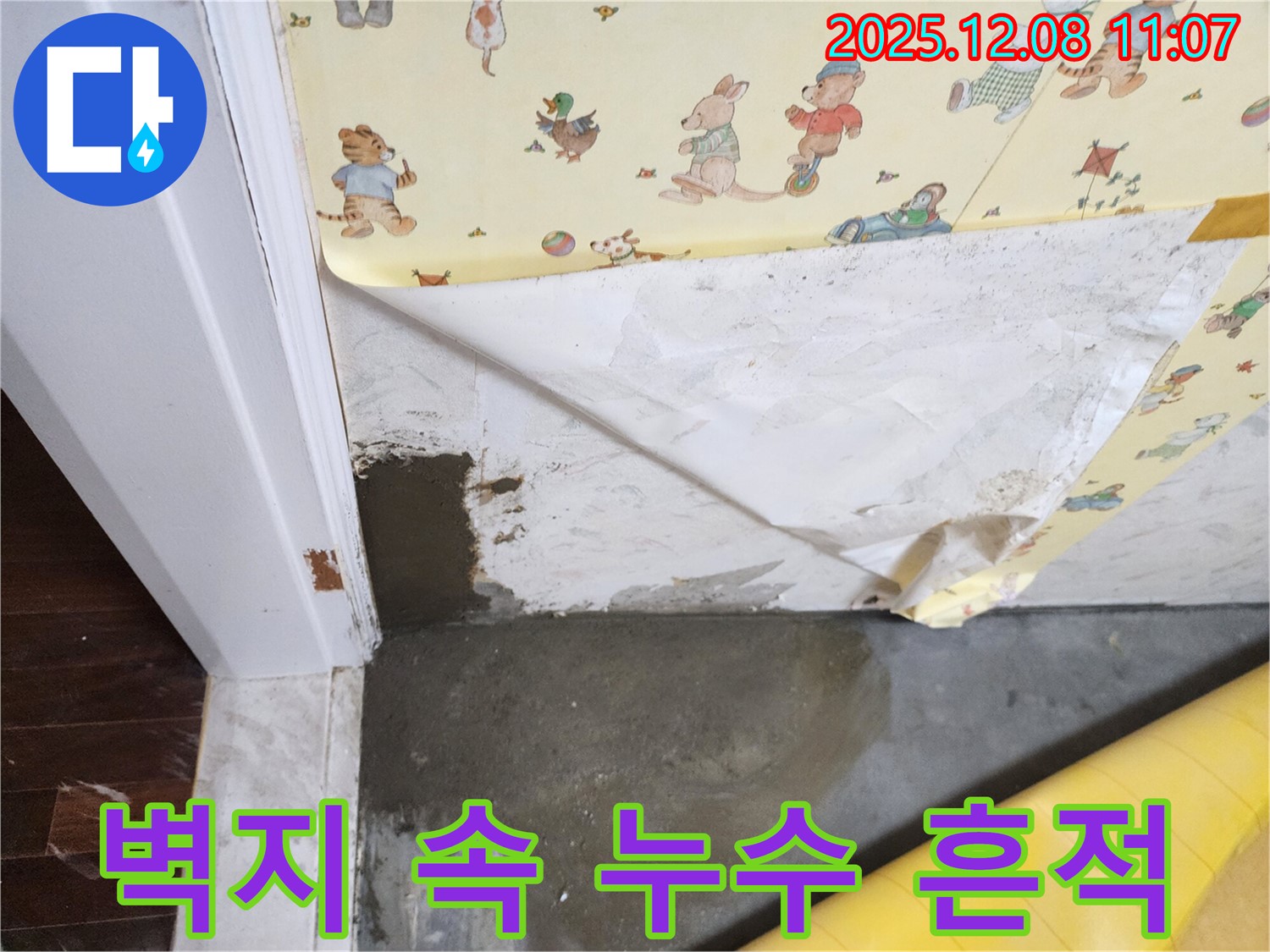 벽지 속 누수 - 숨겨진 곰팡이 - 정밀 누수 탐지 과정
