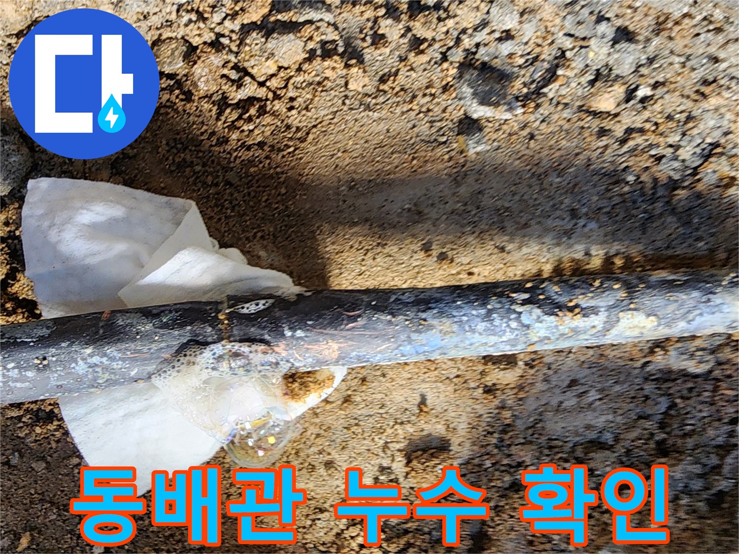 노원구 월계동 아파트에서 발생한 동배관 누수 - 굴착 후 누수 지점을 육안으로 확인하는 모습