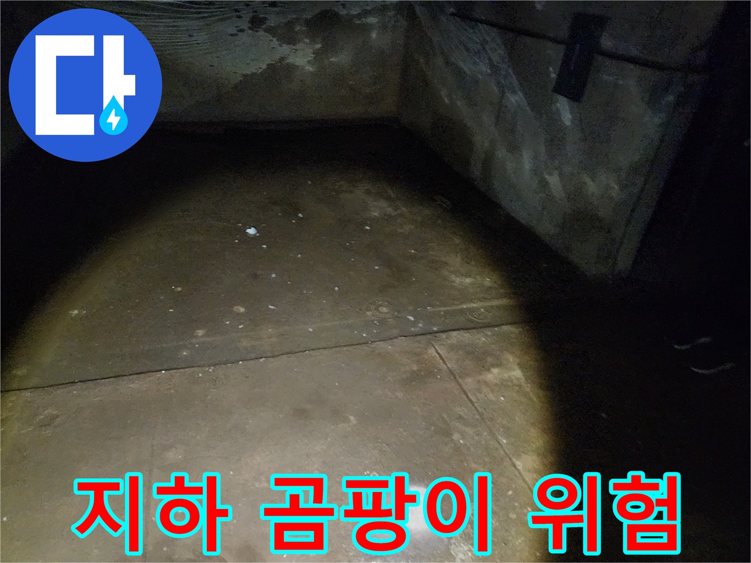 월계동 아파트 지하 누수 - 곰팡이 발생 직전!