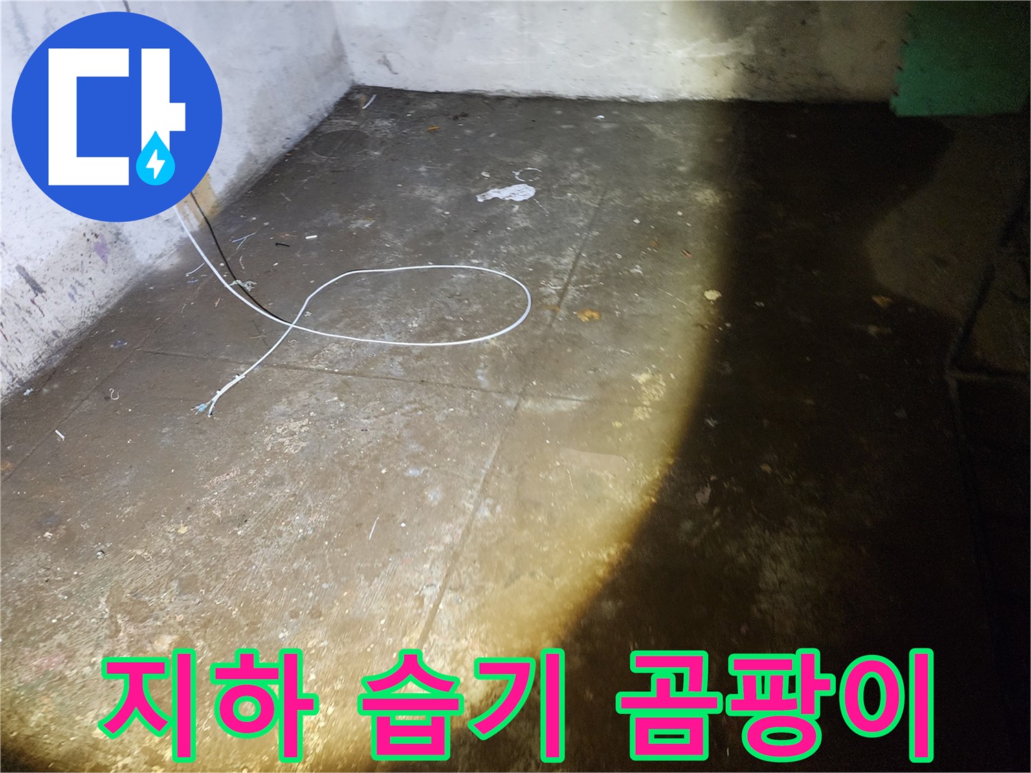 월계동 아파트 지하 습기와 곰팡이 문제 - 누수 해결로 쾌적한 환경을 만드세요.
