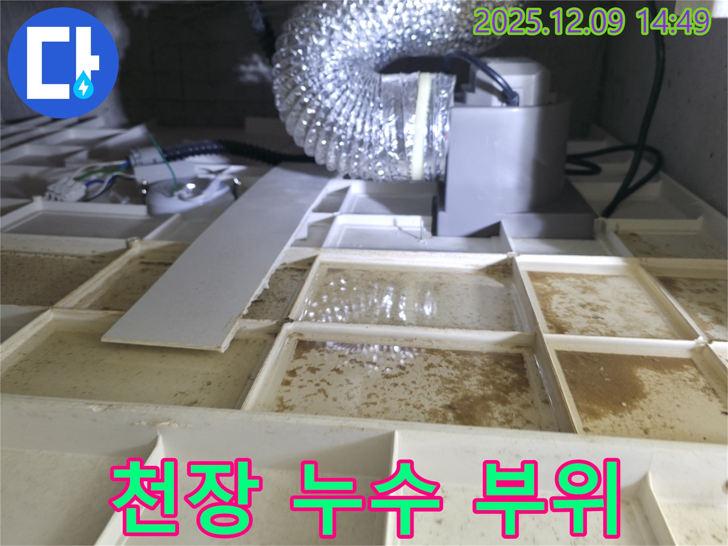 천장 누수 부위 - 누수가 발생한 특정 부위를 확대하여 보여주는 이미지입니다.