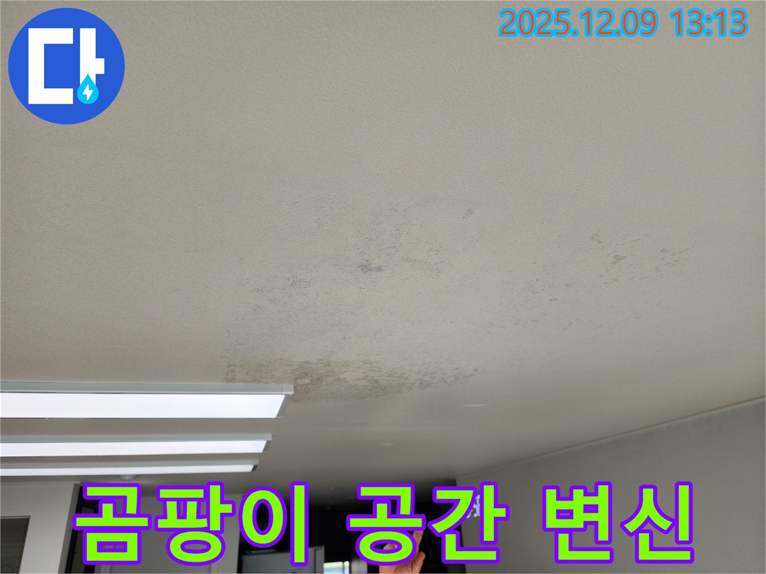 경기도 포천시 영중면 성동리 - 곰팡이 완벽 제거 후 쾌적한 공간으로 변신
