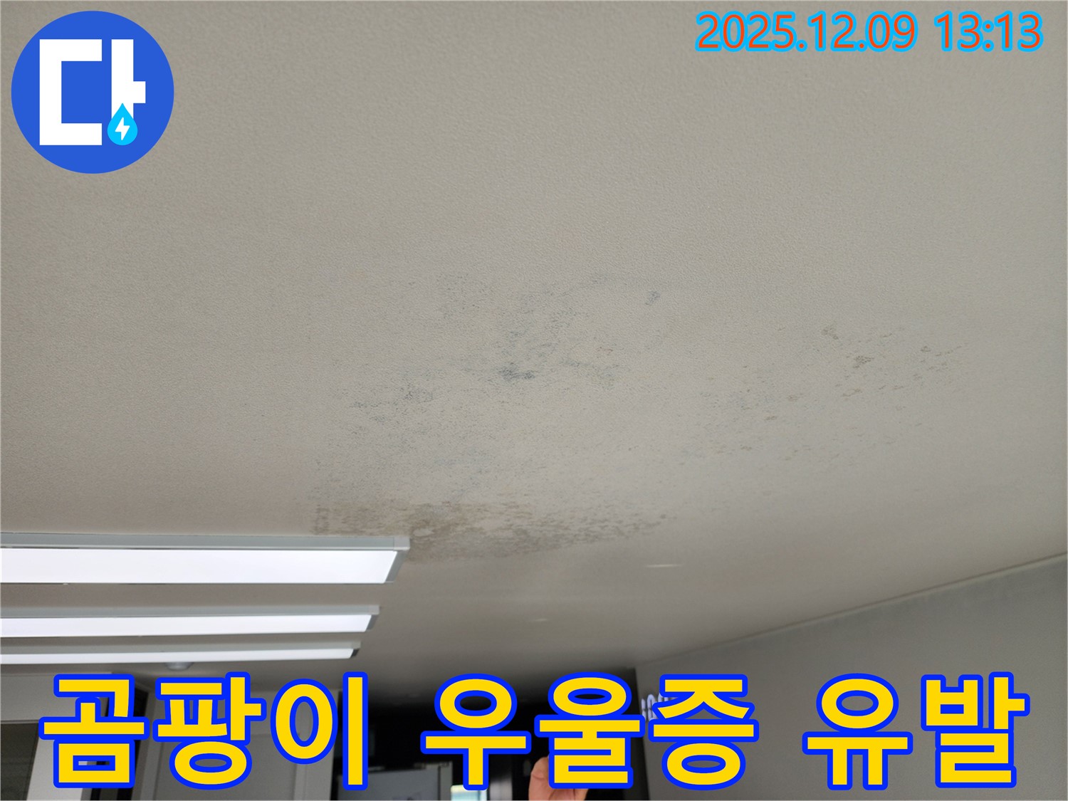 경기도 포천시 영중면 성동리 - 곰팡이, 우울증 유발 - 마음까지 병들게