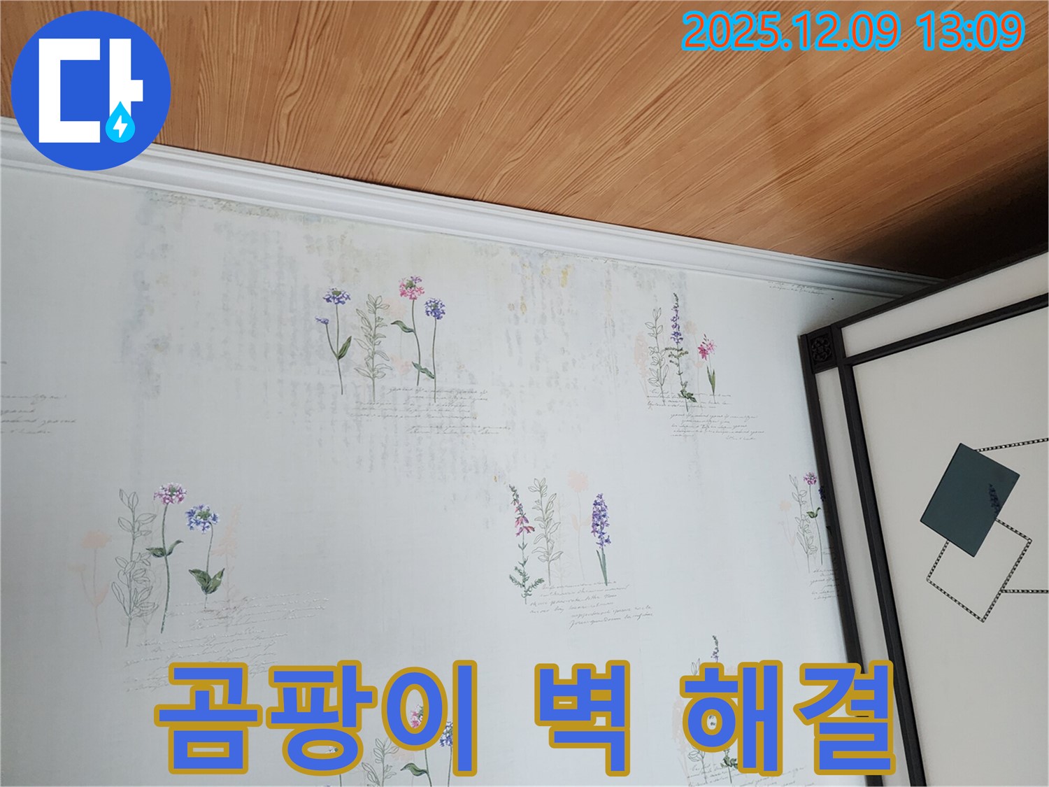 곰팡이 벽 - 누수 전문가가 정확한 진단과 완벽한 해결책을 제시하여 곰팡이 문제를 잡아드립니다.
