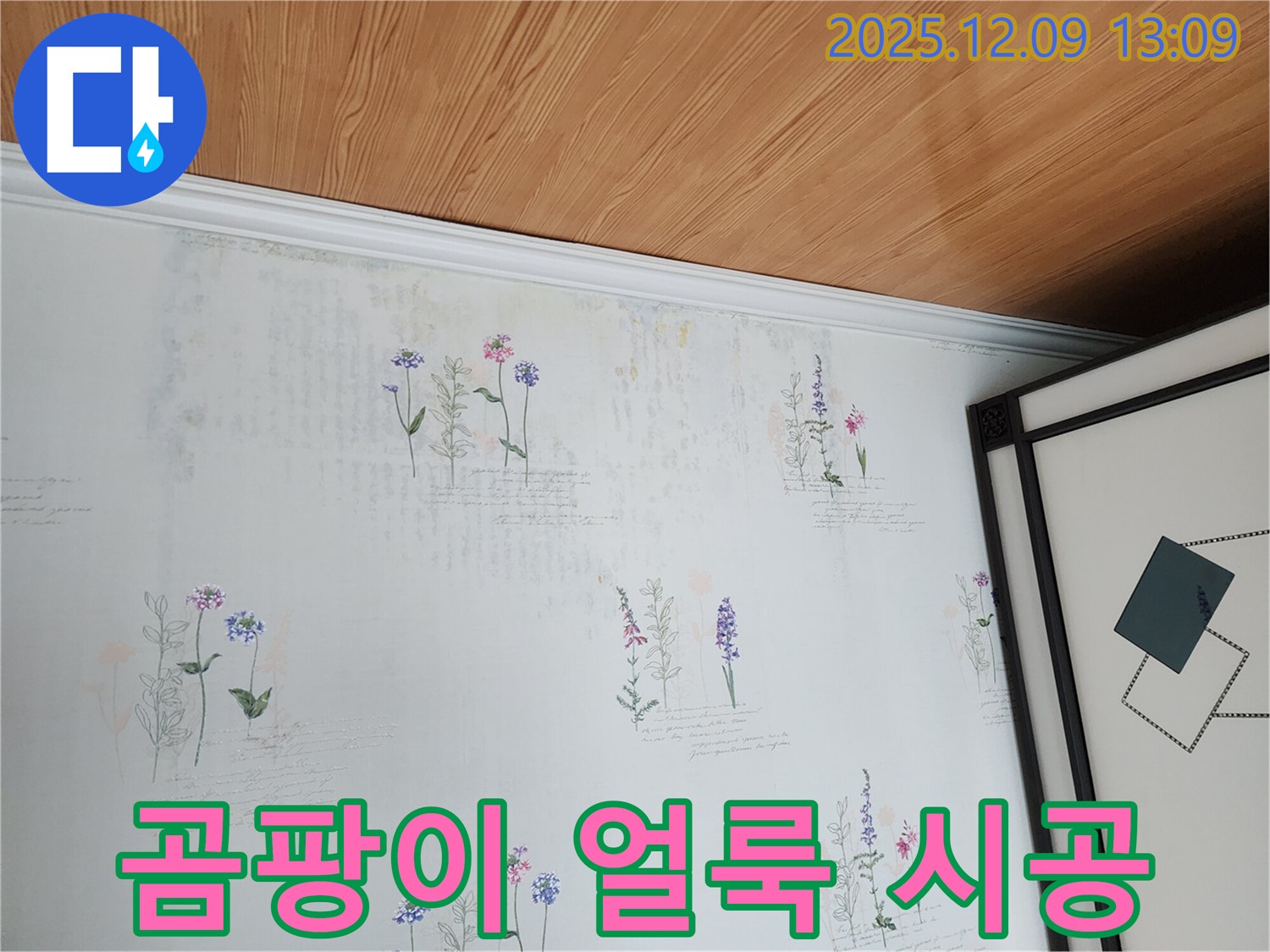 곰팡이와 얼룩으로 오염된 벽지 - 꼼꼼한 시공으로 재발까지 방지하는 누수 탐지 서비스.