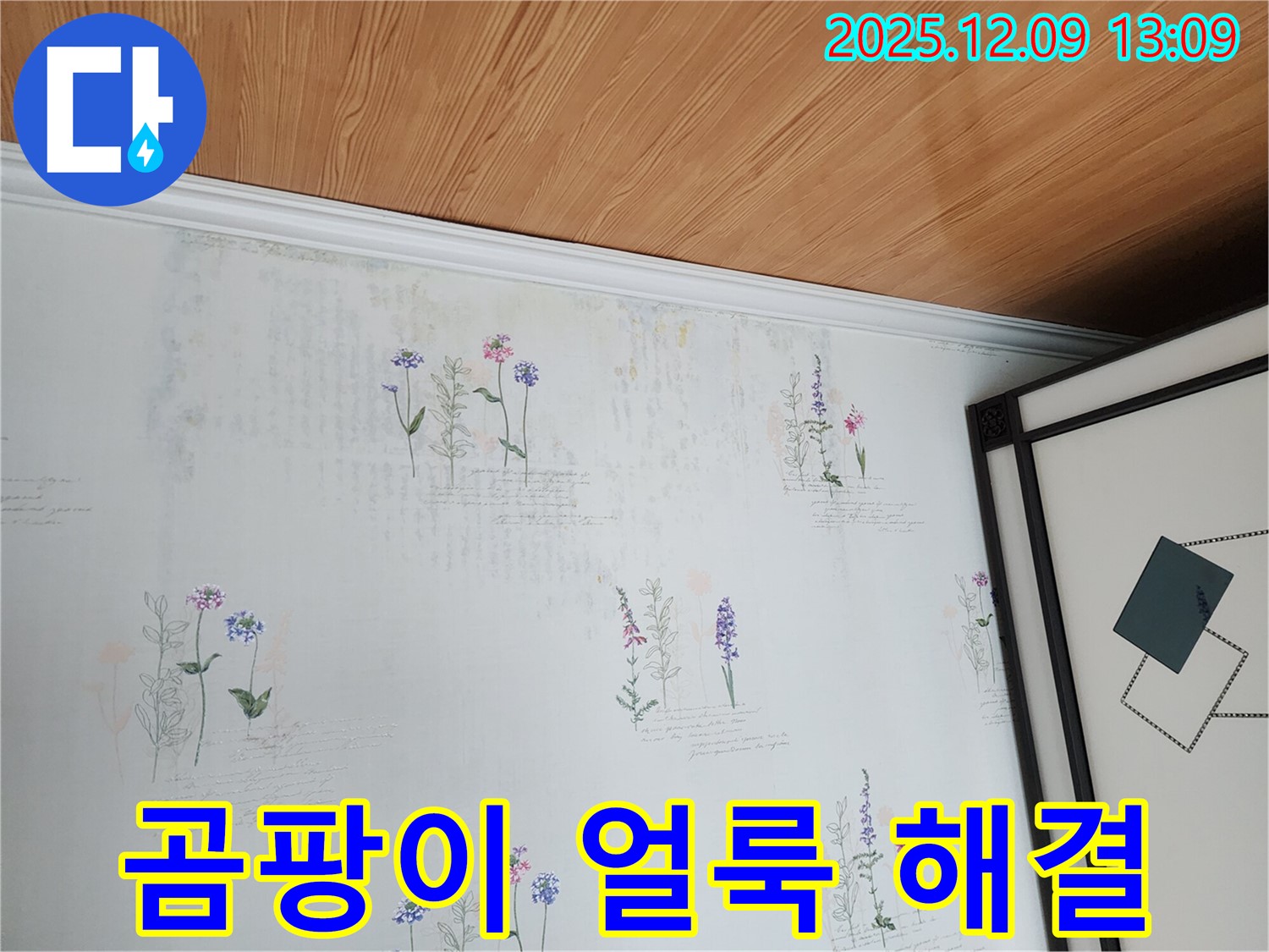 곰팡이와 얼룩으로 오염된 벽지 - 누수탐지로 쾌적한 공간으로 바꿔드립니다.