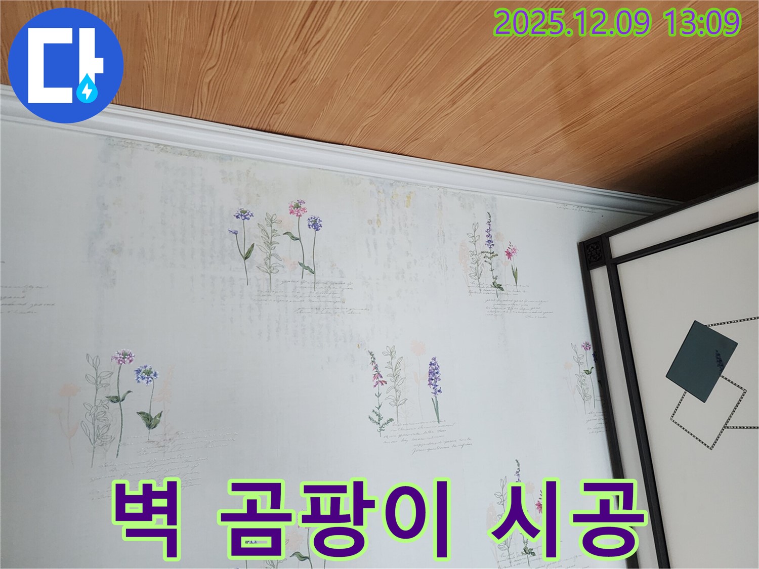 벽 곰팡이 - 꼼꼼한 시공으로 재발까지 방지하는 누수 탐지 서비스.