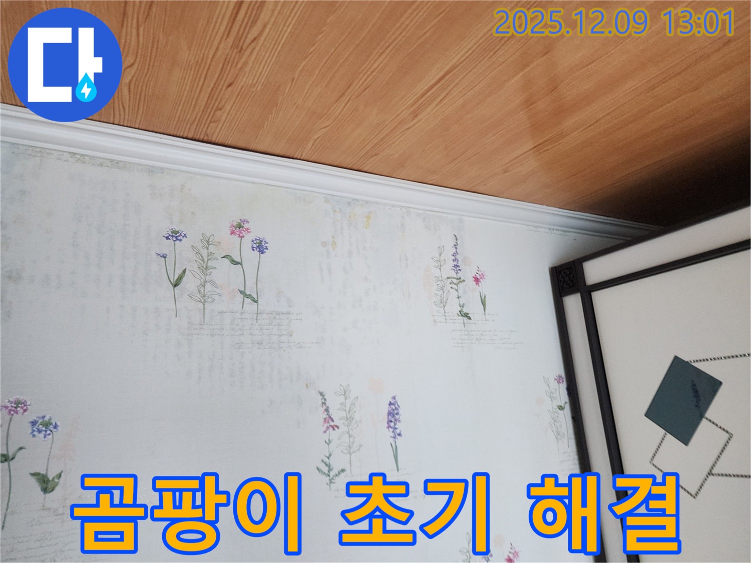 성동리 누수 현장 - 곰팡이 초기 단계 발견 및 신속 대응
