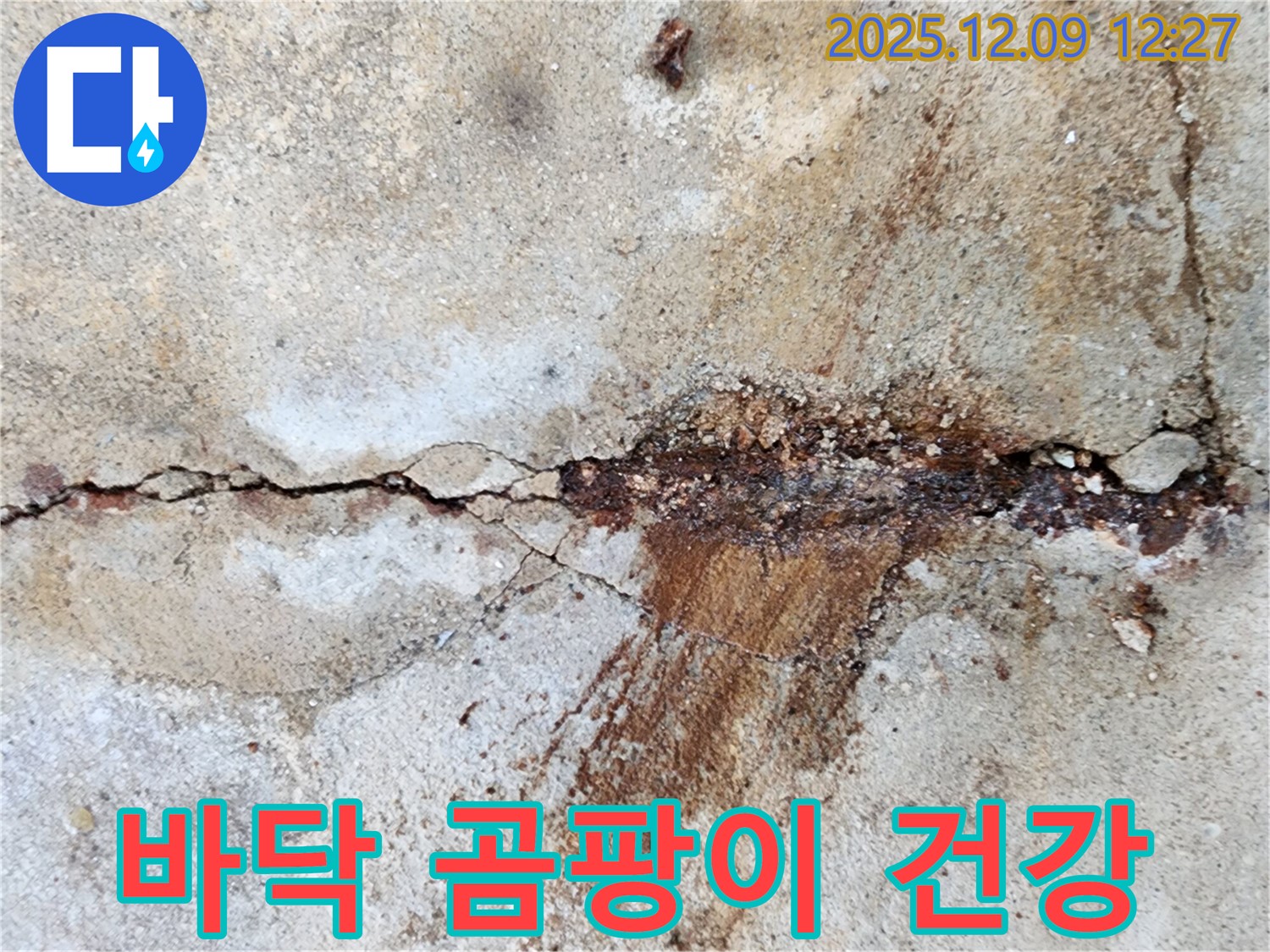 성동리 젖은 콘크리트 바닥 - 곰팡이 냄새와 함께라면 건강까지 위협합니다!