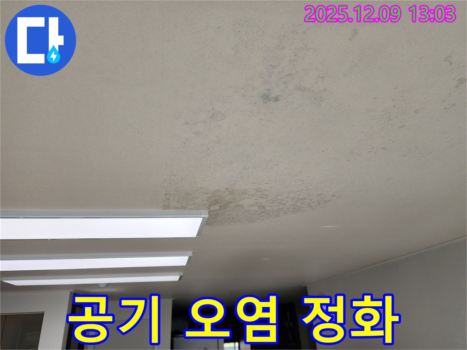 성동리 - 천장 누수 곰팡이 집안 공기 오염 - 깨끗하게 정화