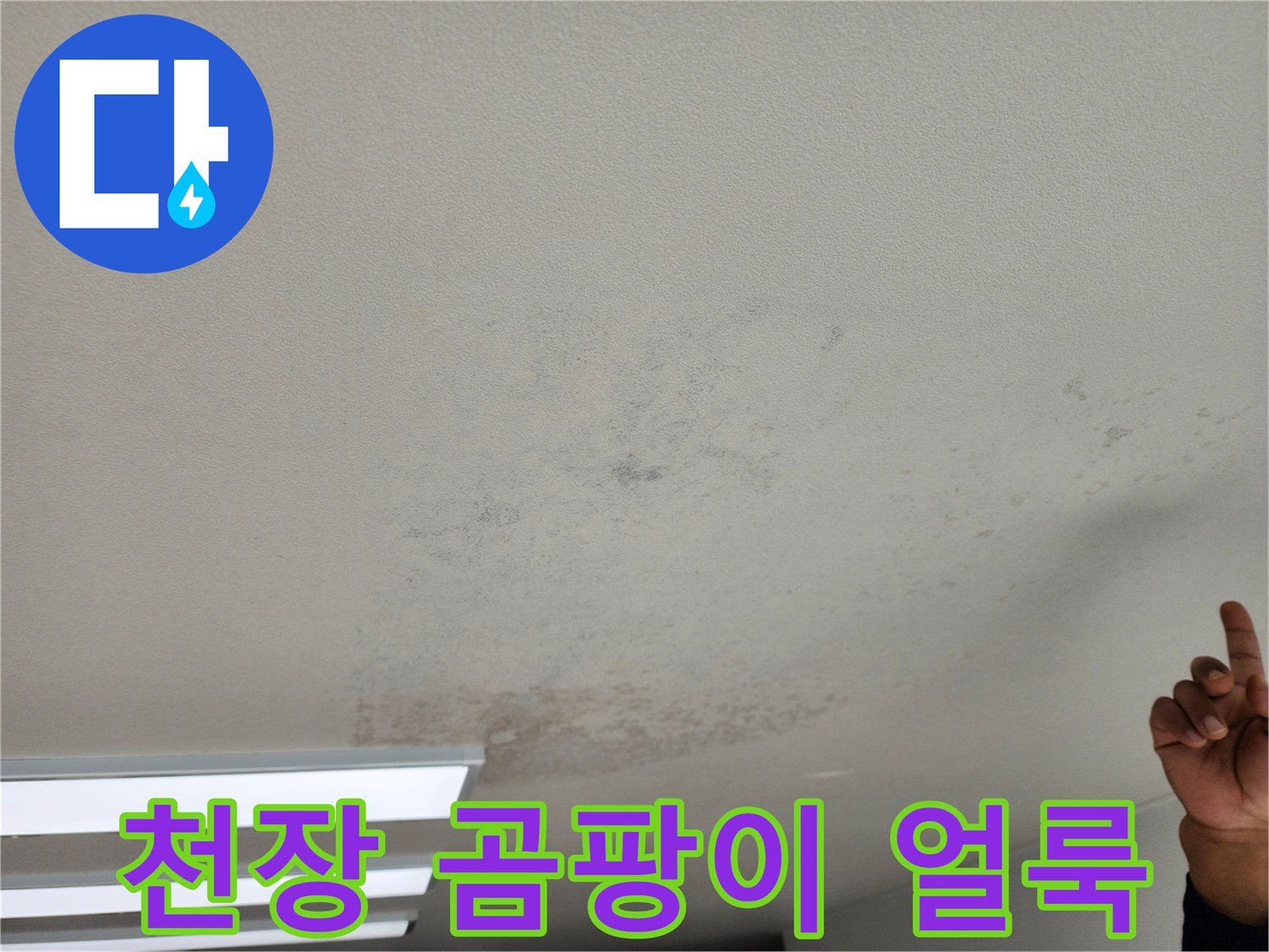 습기로 인해 변색된 천장 마감재와 곰팡이 흔적