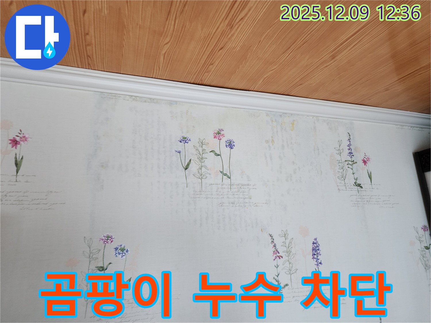 영중면 성동리 누수 - 곰팡이 발생 원인을 차단하는 완벽한 누수 공사