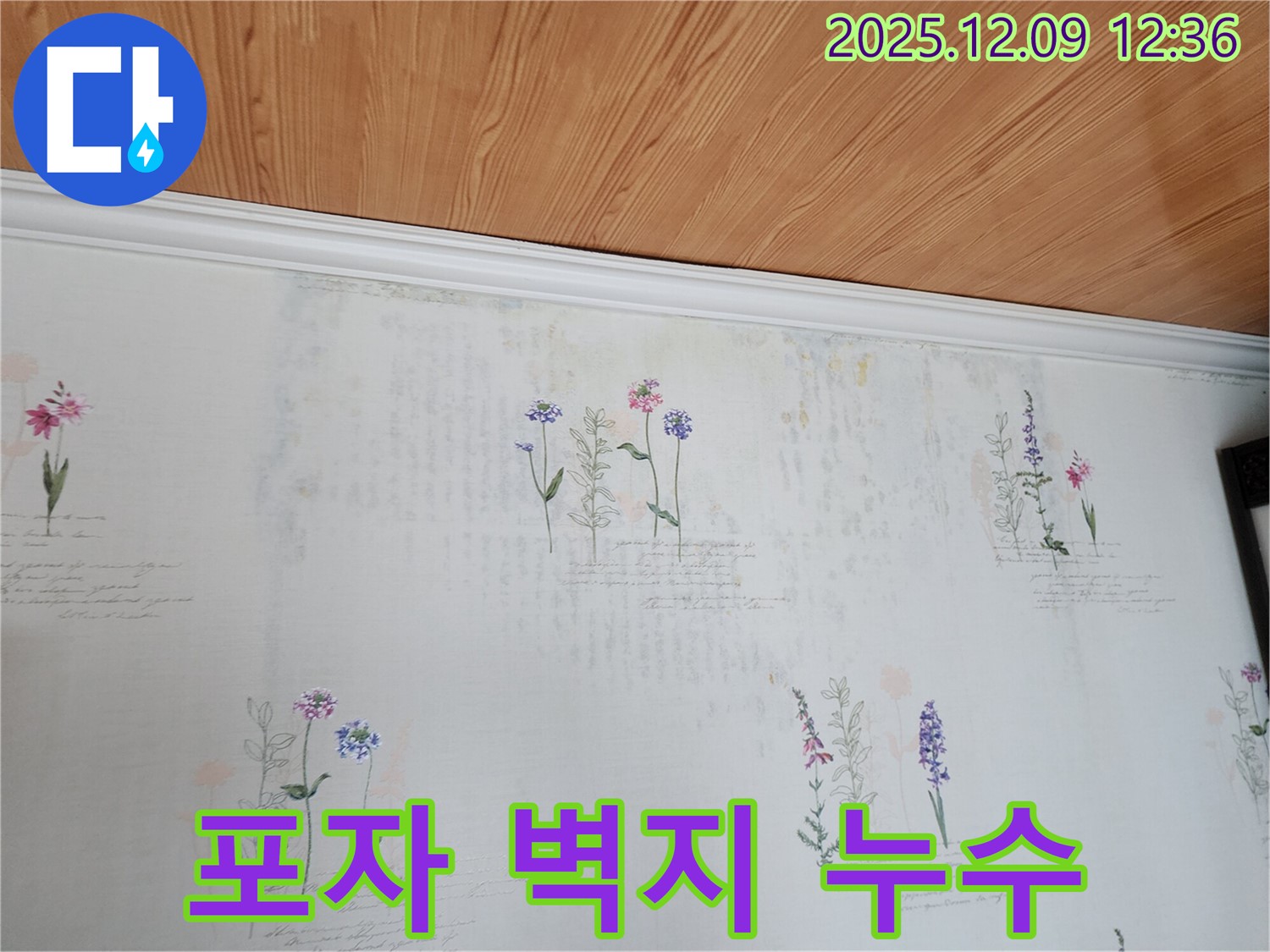 영중면 성동리 누수 문제 해결 - 곰팡이 포자가 가득한 벽지의 원인인 누수를 정확하게 파악하고 해결하는 누수 공사