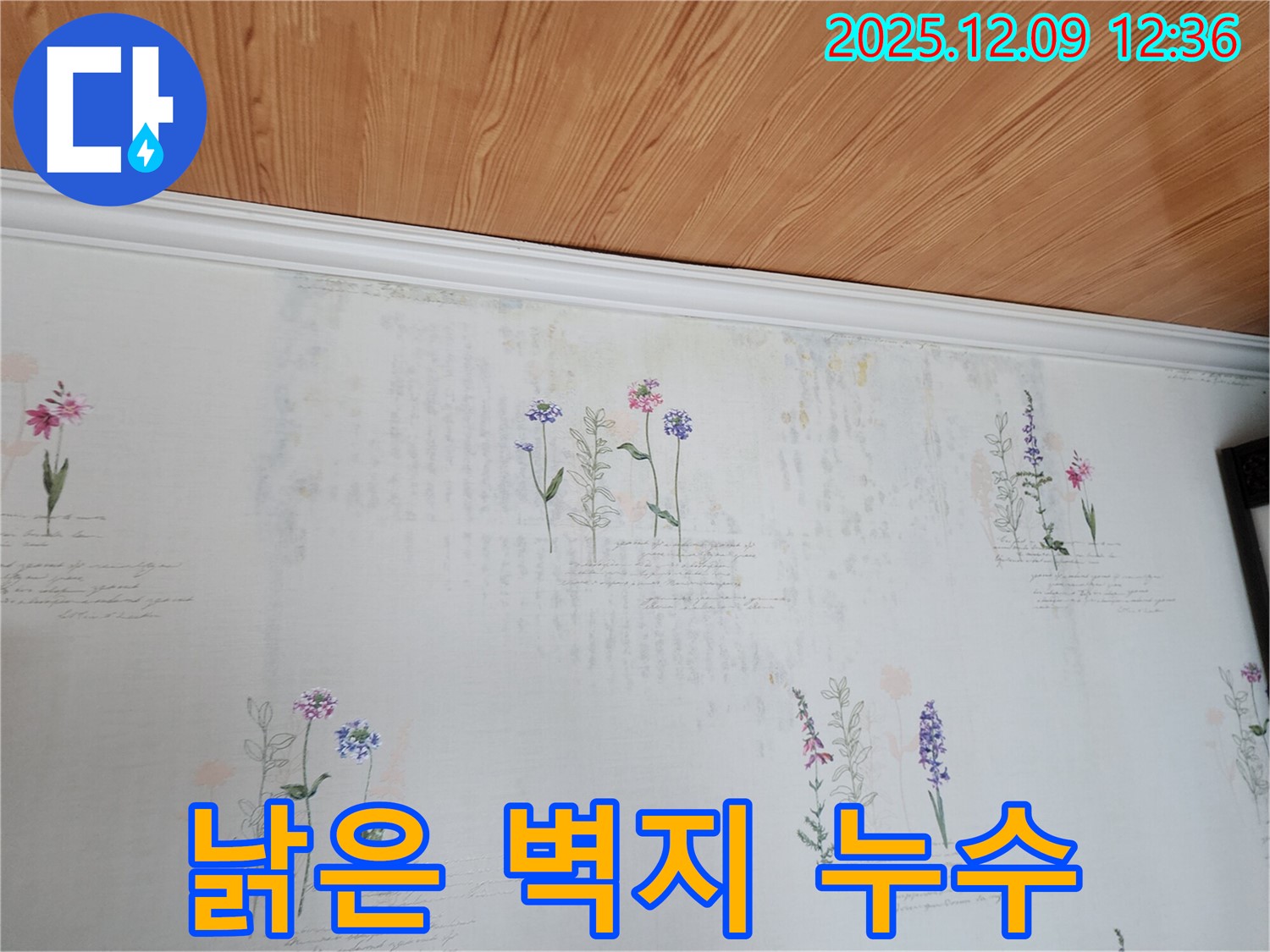 영중면 성동리 누수 문제 해결 - 낡은 벽지의 누수 원인을 정확하게 파악하고 해결하는 누수 공사