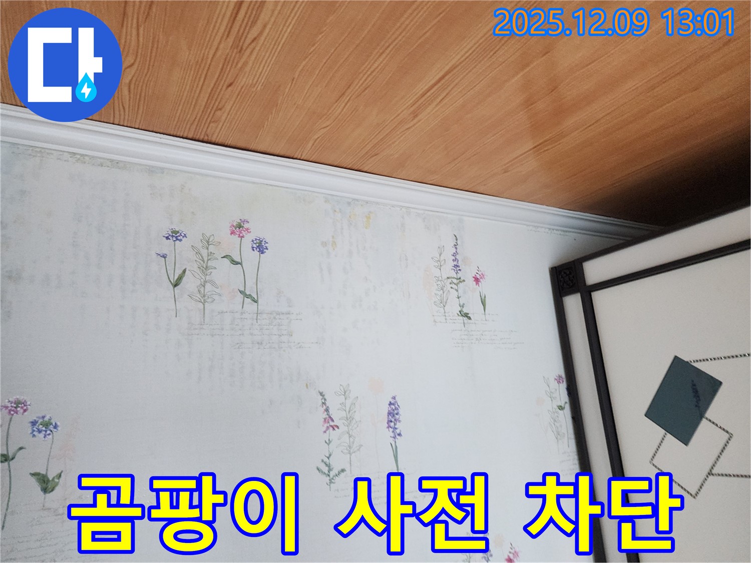 영중면 성동리 누수 현장 - 곰팡이 번지기 전 누수 완벽 차단
