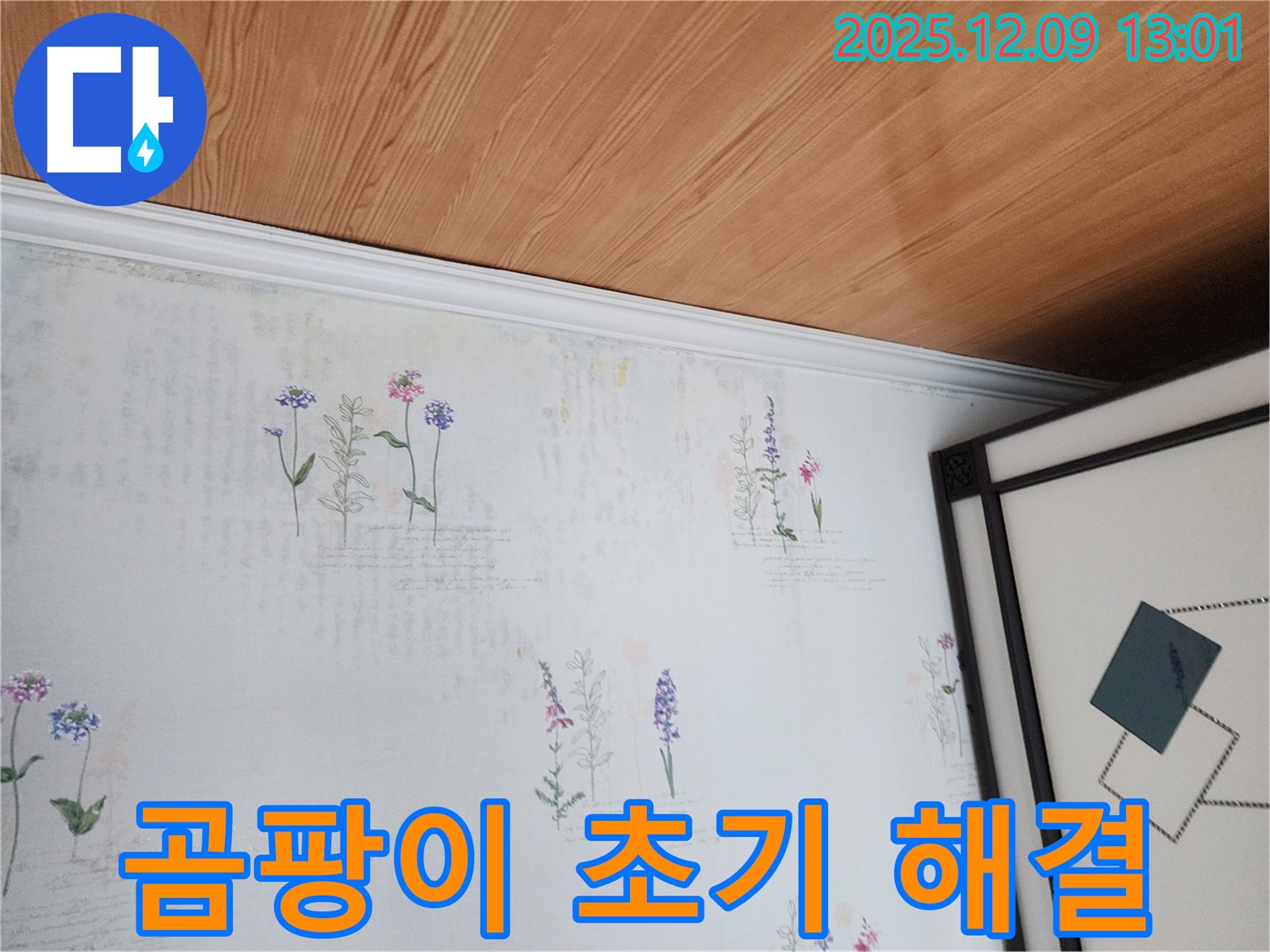 영중면 성동리 누수 현장 - 곰팡이 초기 단계 신속 조치 및 해결