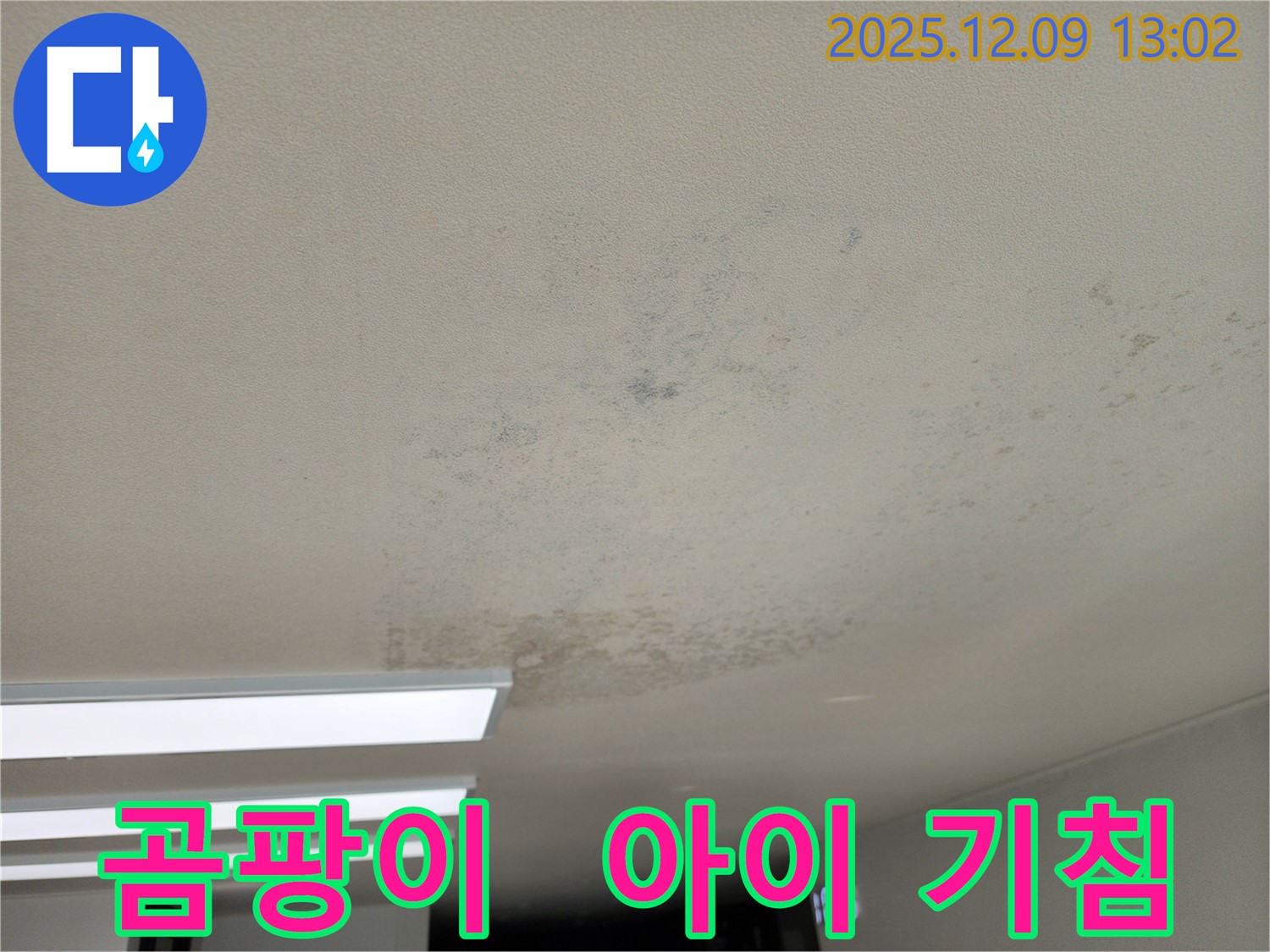영중면 성동리 천장 누수 - 천장 누수, 곰팡이 때문에 아이가 자꾸 기침을 한다면 누수를 의심하세요.