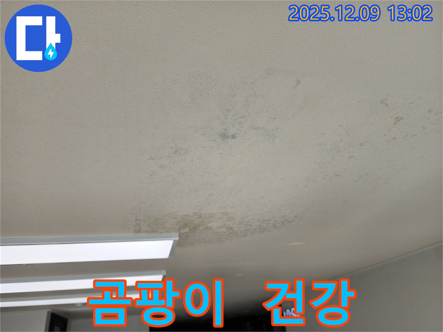 영중면 성동리 천장 누수 - 천장 누수, 곰팡이는 건강에 매우 해롭습니다!