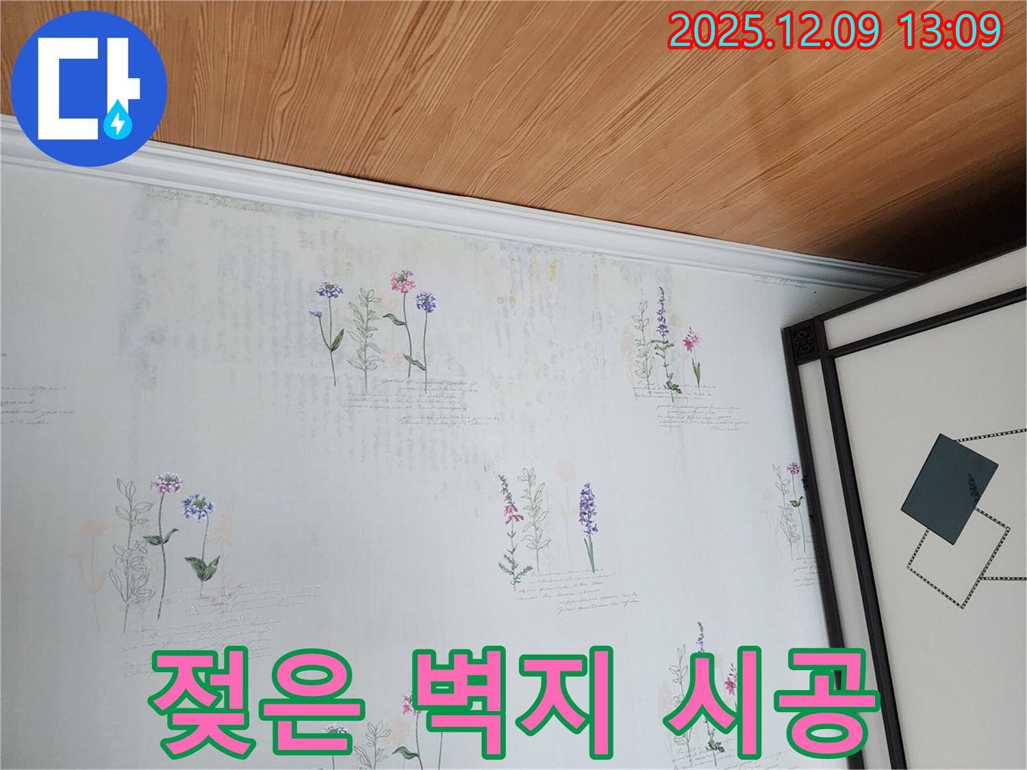젖은 벽지와 곰팡이 - 꼼꼼한 시공으로 재발까지 방지하는 누수 탐지 서비스.