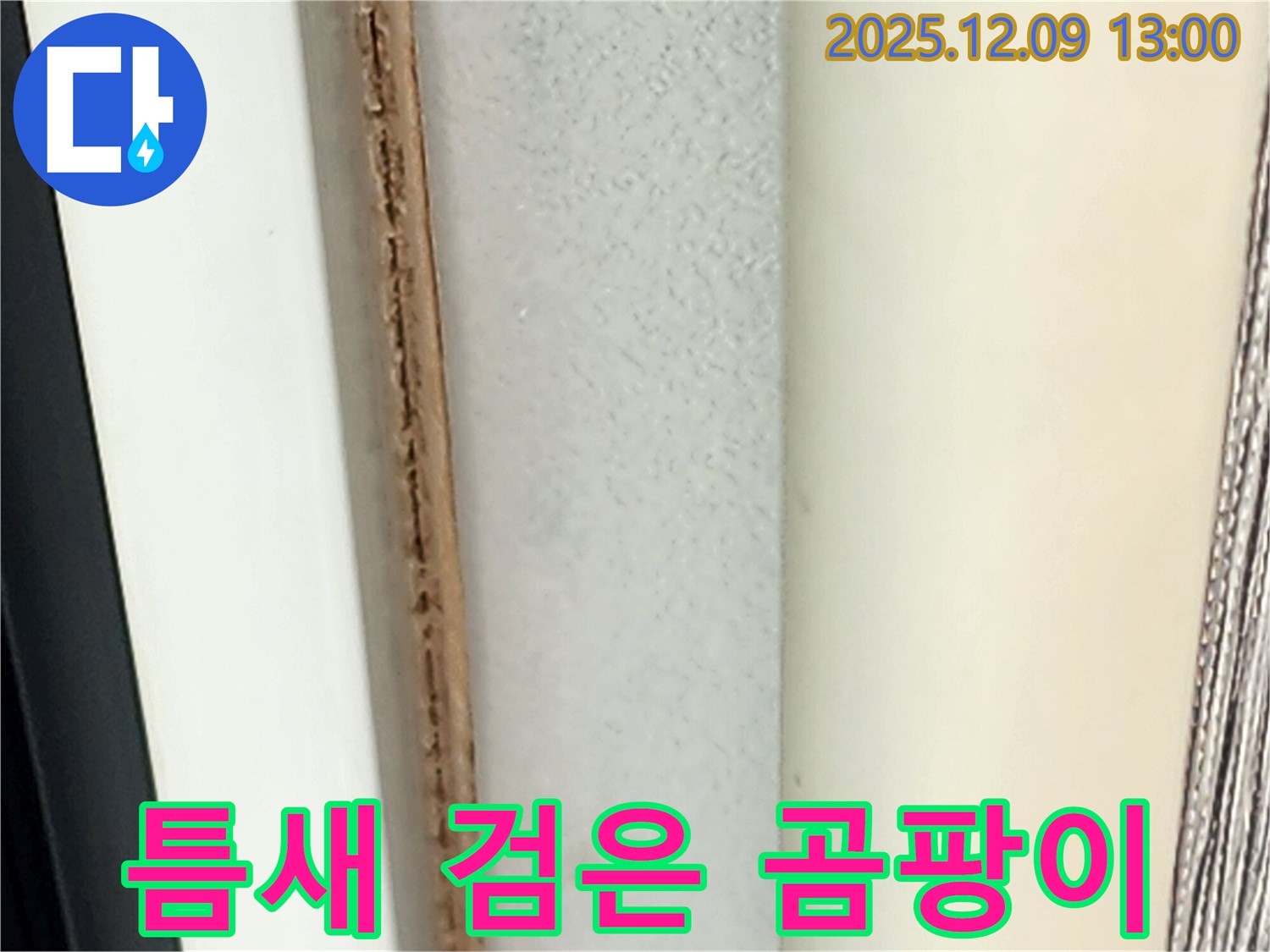 창틀 틈새 검은 곰팡이 - 면역력을 저하시킬 수 있습니다.