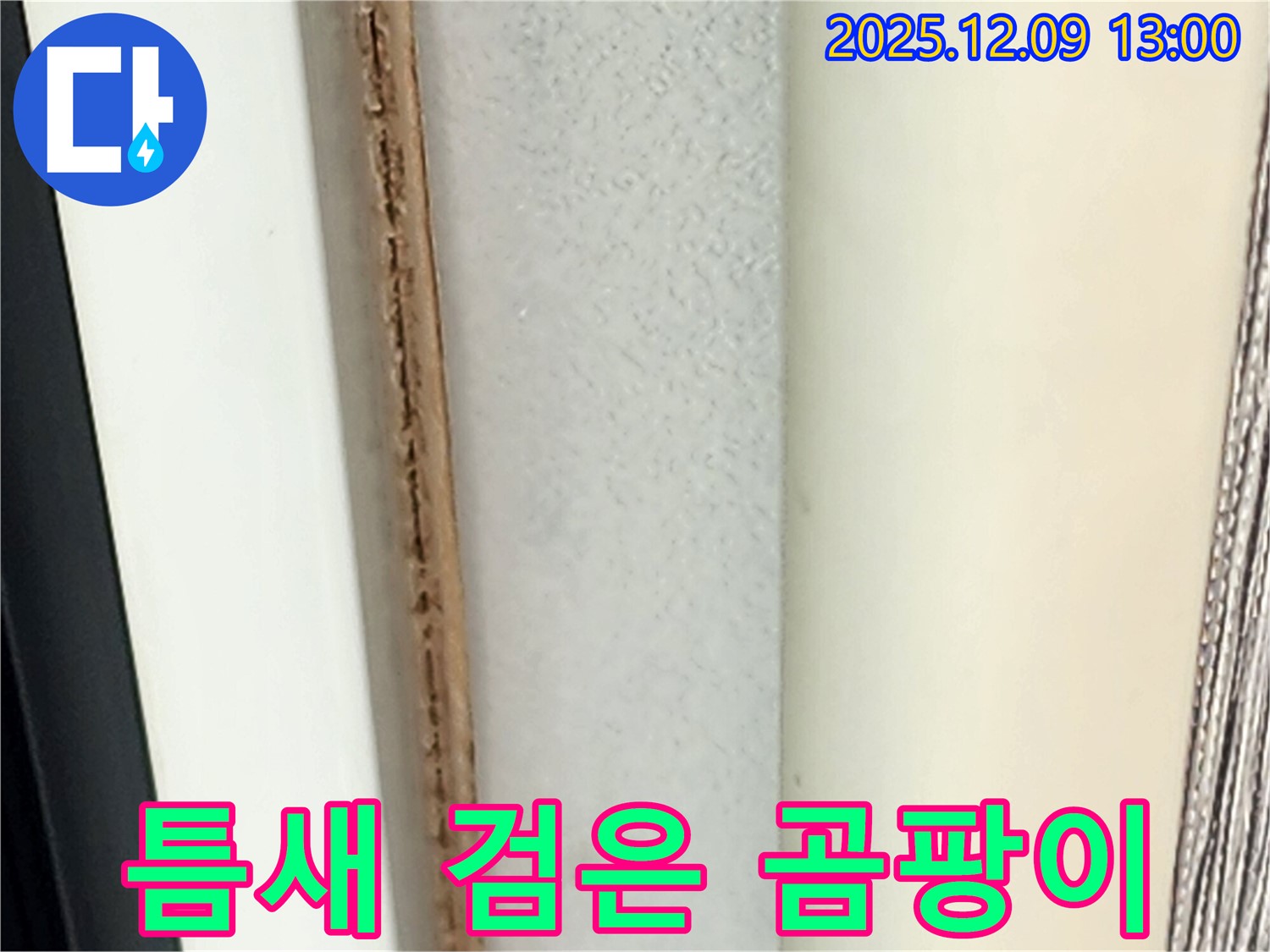 창틀 틈새 검은 곰팡이 - 심각한 오염 상태입니다.