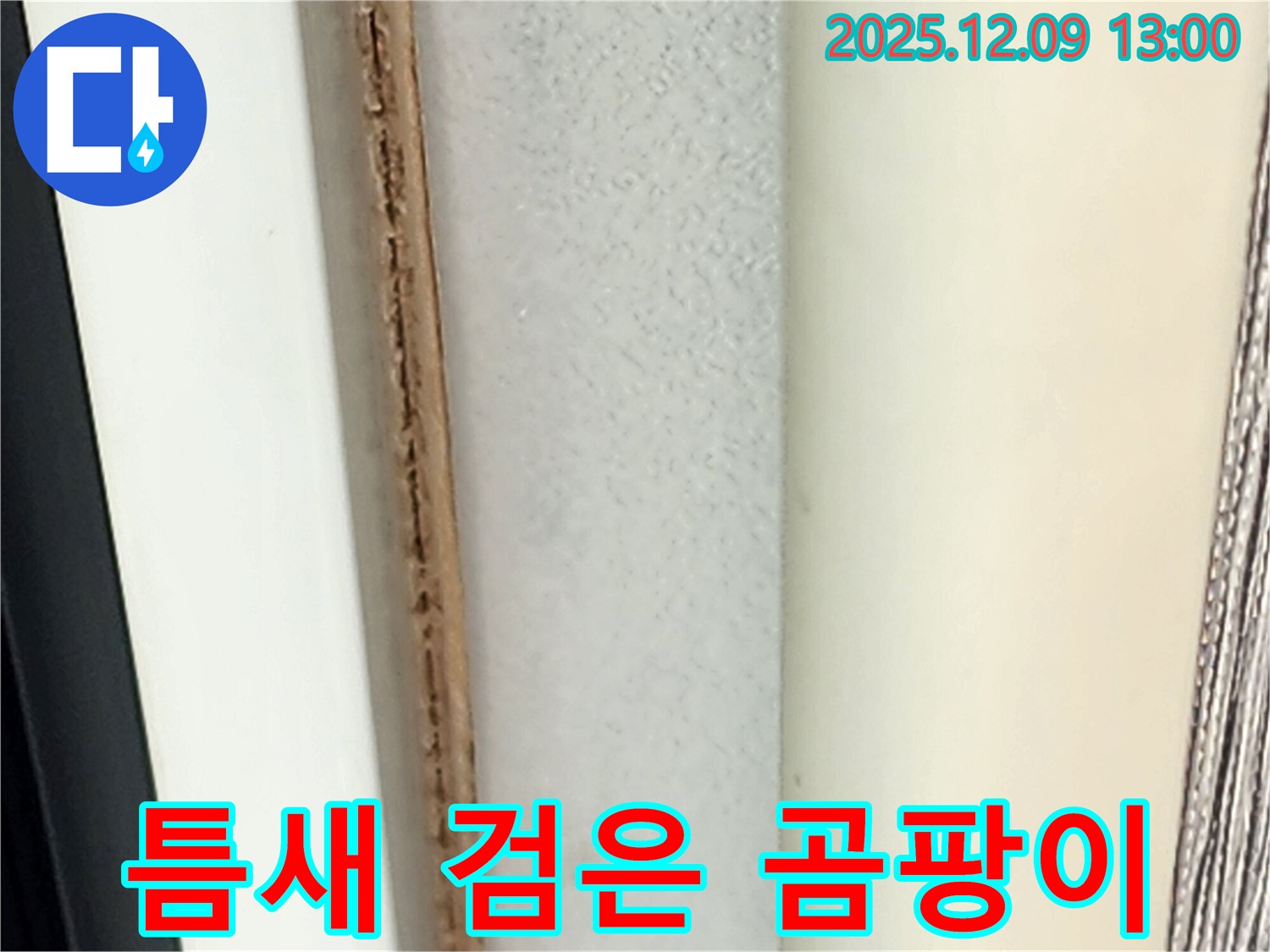 창틀 틈새 검은 곰팡이 - 재산 피해를 발생시킬 수 있습니다.