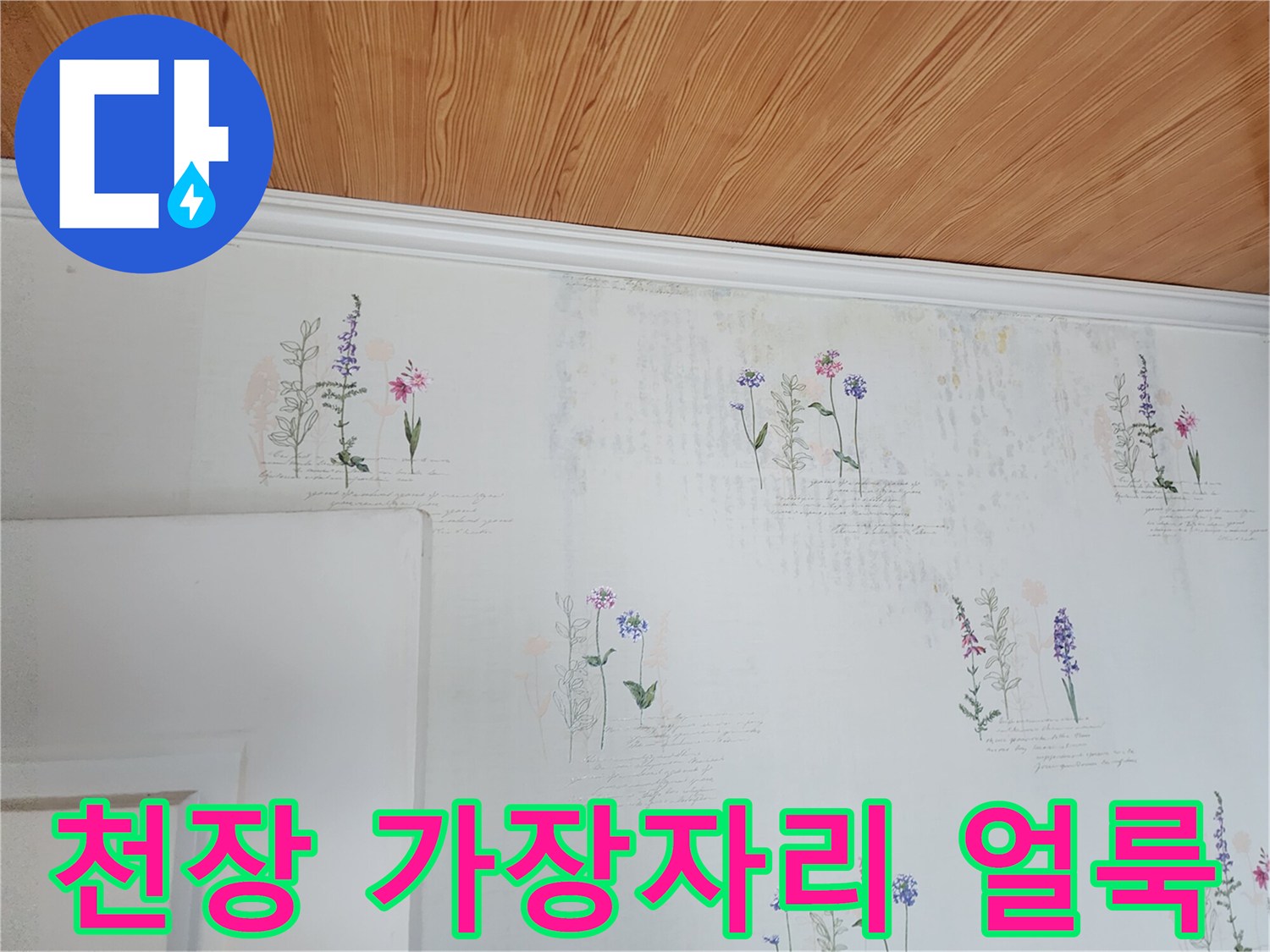 천장 몰딩과 연결된 벽지의 변색 부위를 근접 촬영한 이미지입니다.