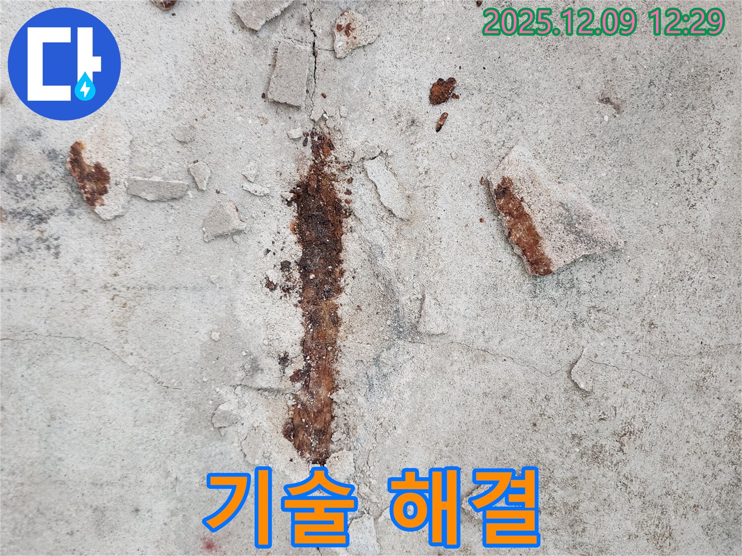 철근 부식 - 완벽한 기술력으로 문제 해결