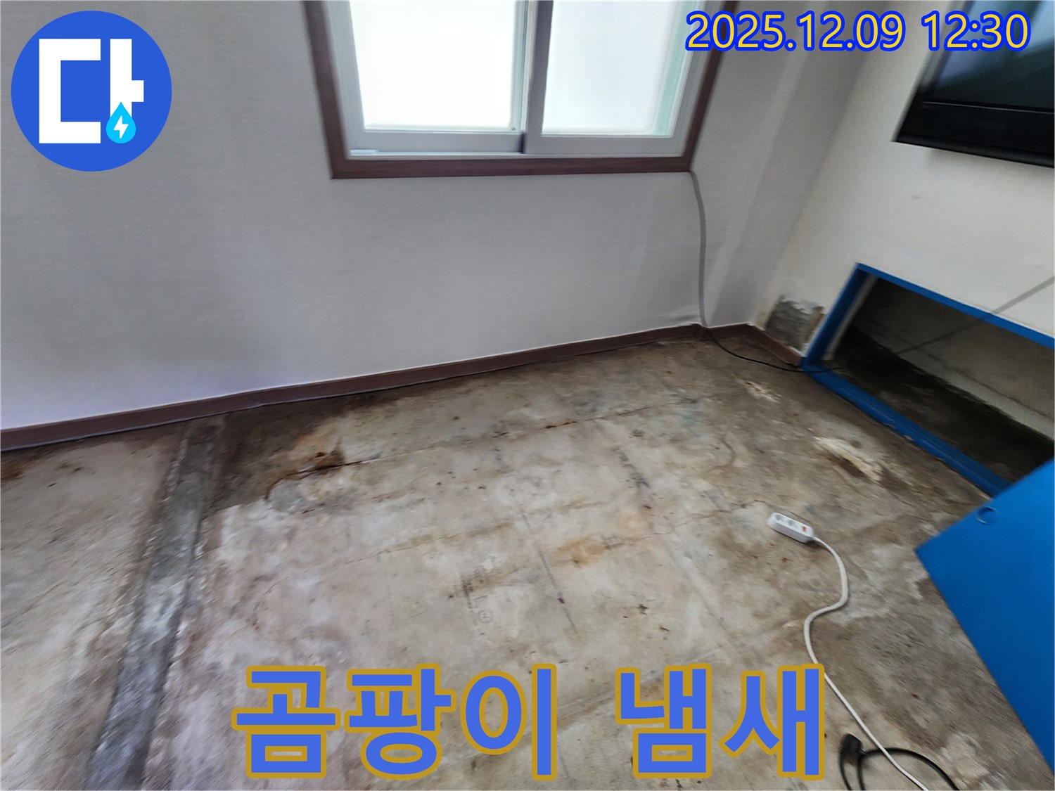 포천 누수 - 콘크리트 바닥 곰팡이 냄새, 영중면 성동리 누수 해결 전문가가 함께합니다.