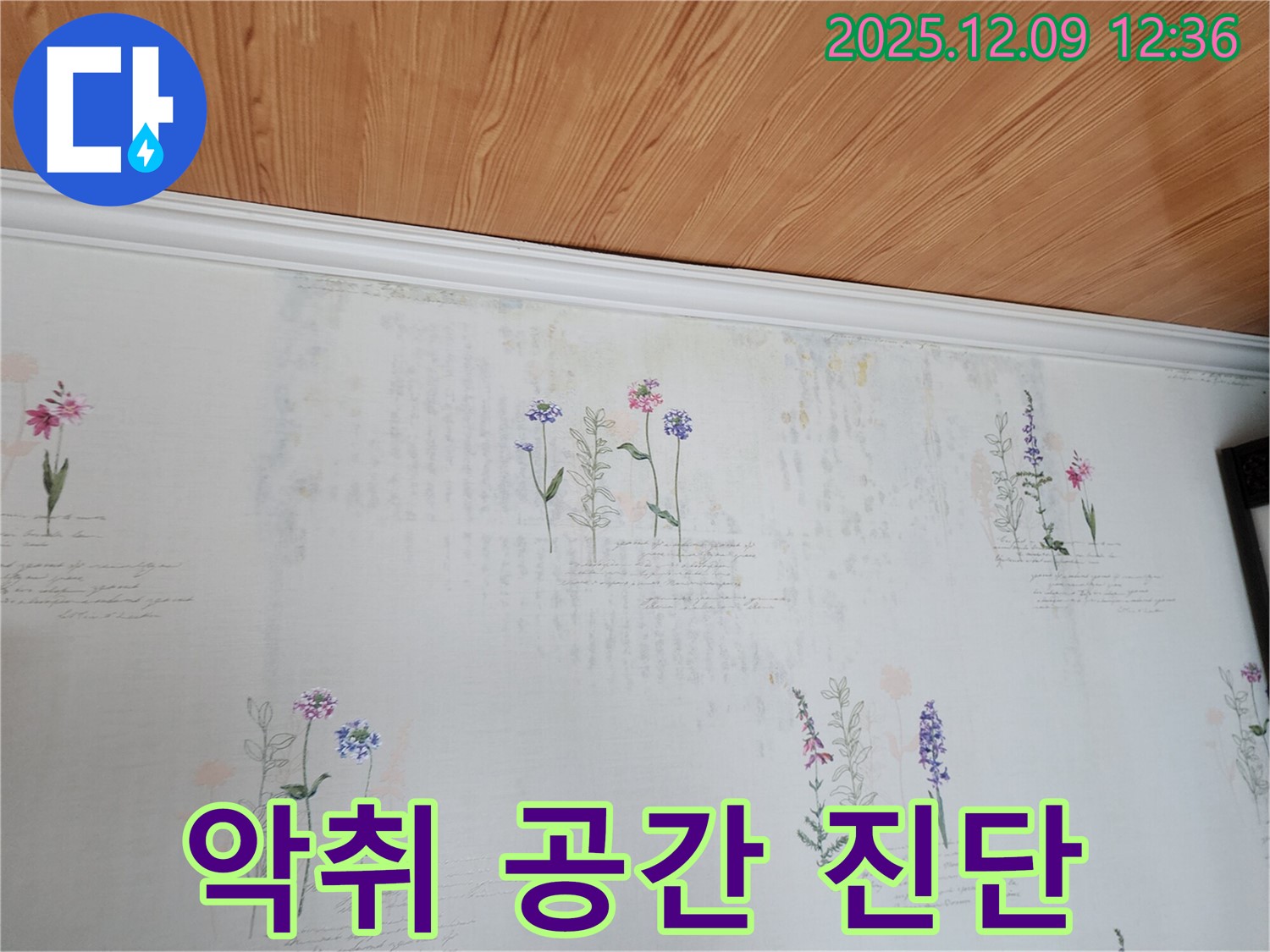 포천 누수탐지 전문 - 곰팡이 악취 벽지의 원인인 누수를 정확하게 진단하고 쾌적한 공간으로 되돌리는 누수 공사 과정