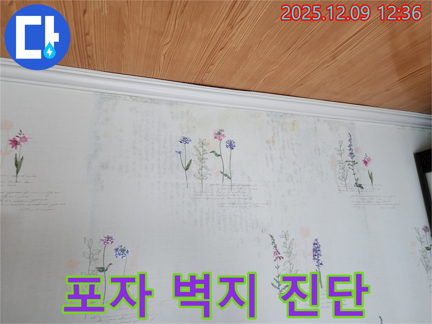 포천 누수탐지 전문 - 곰팡이 포자가 득실거리는 벽지의 원인인 누수를 정확하게 진단하고 완벽하게 해결하는 누수 공사 과정