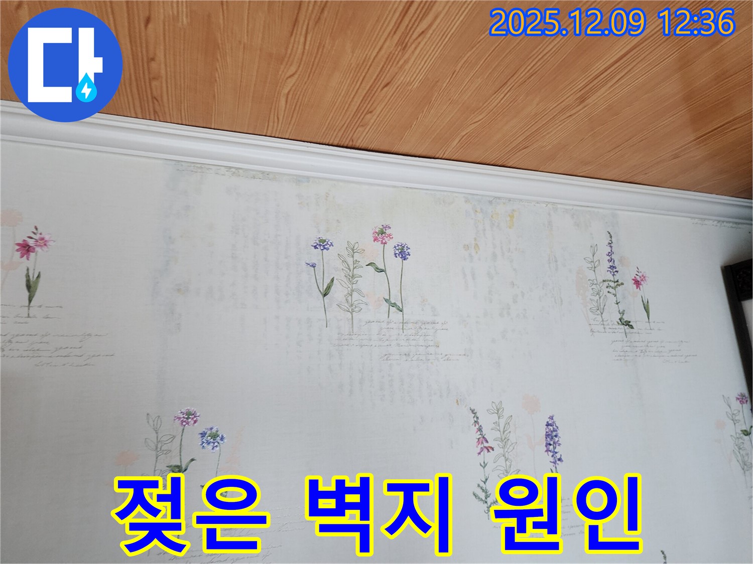 포천 누수탐지 전문 - 젖은 곰팡이 벽지의 누수 원인을 정확하게 진단하고 완벽하게 해결하는 누수 공사 과정