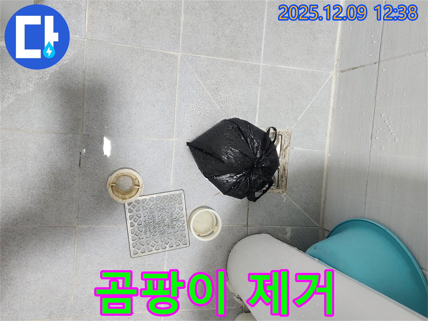 포천 성동리 - 배수구 주변 곰팡이 제거, 깨끗한 환경 조성