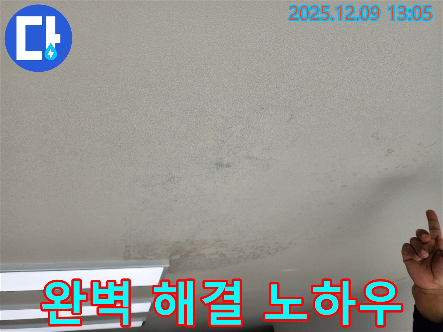 포천 성동리 천장 누수 - 곰팡이 핀 천장 완벽 해결 노하우 공개!