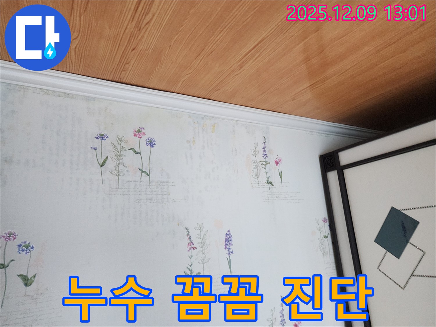 포천 영중면 누수 현장 - 곰팡이 발생 가능성 꼼꼼하게 진단
