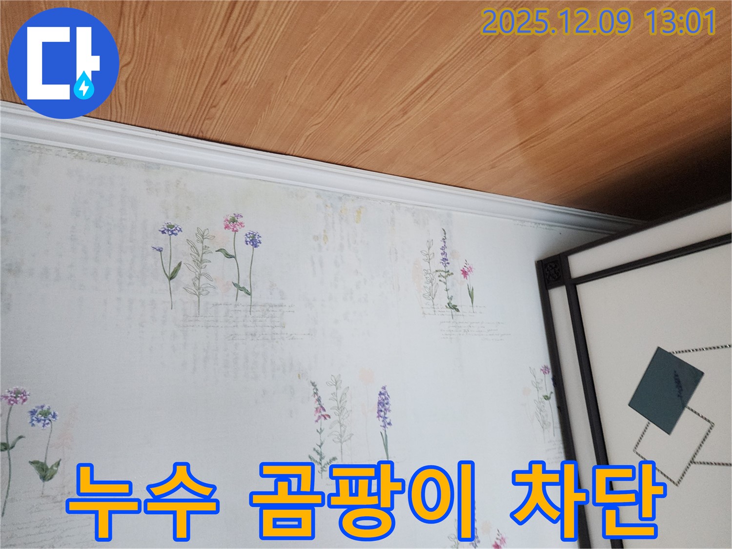 포천 영중면 누수 현장 - 곰팡이 발생 전 누수 완벽 차단 솔루션