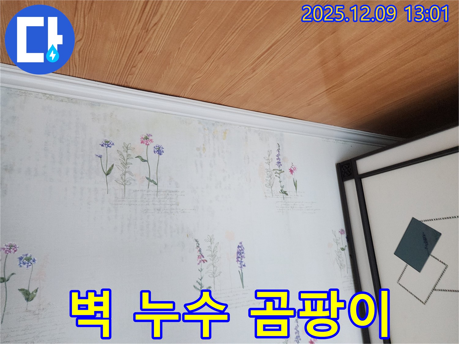 포천 영중면 누수 현장 - 벽에 스며든 물과 곰팡이 초기 증상