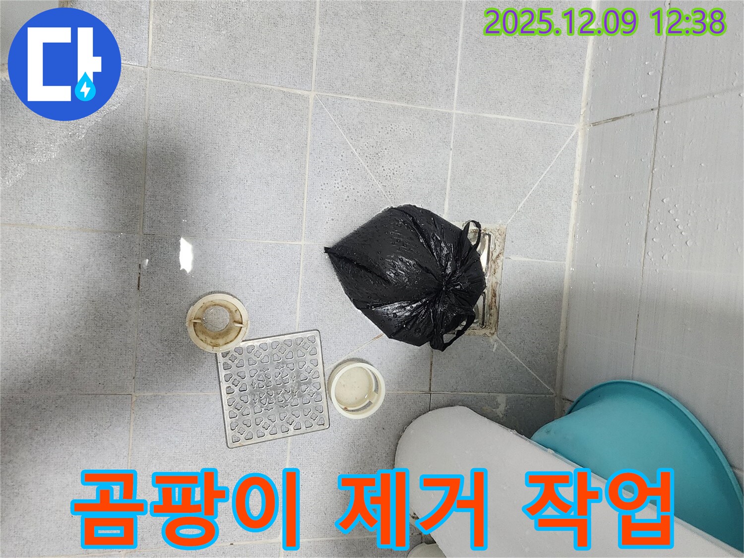 포천 - 욕실 배수구 주변 곰팡이 깨끗하게 제거 작업